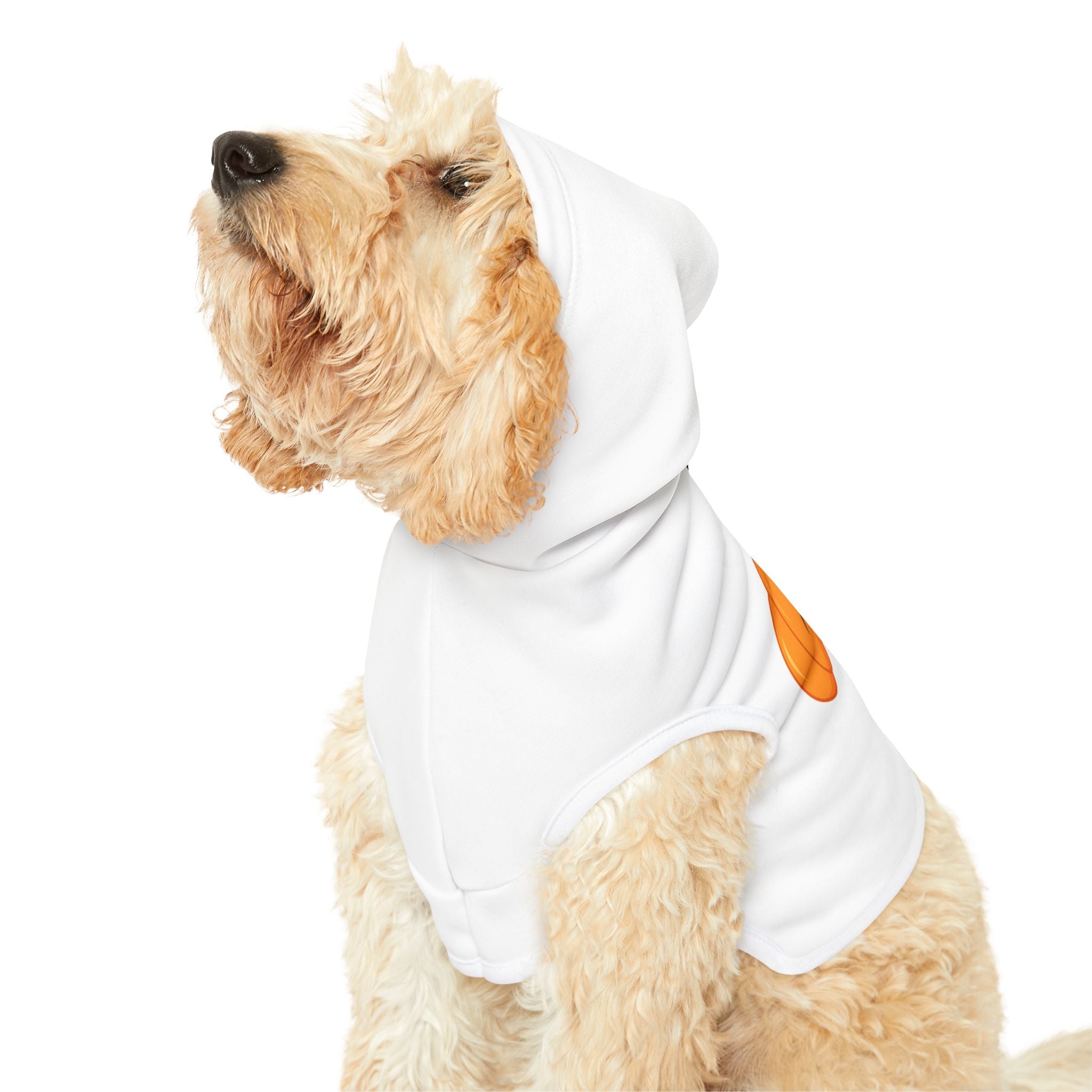 Halloween Pumpkin Pet Hoodie