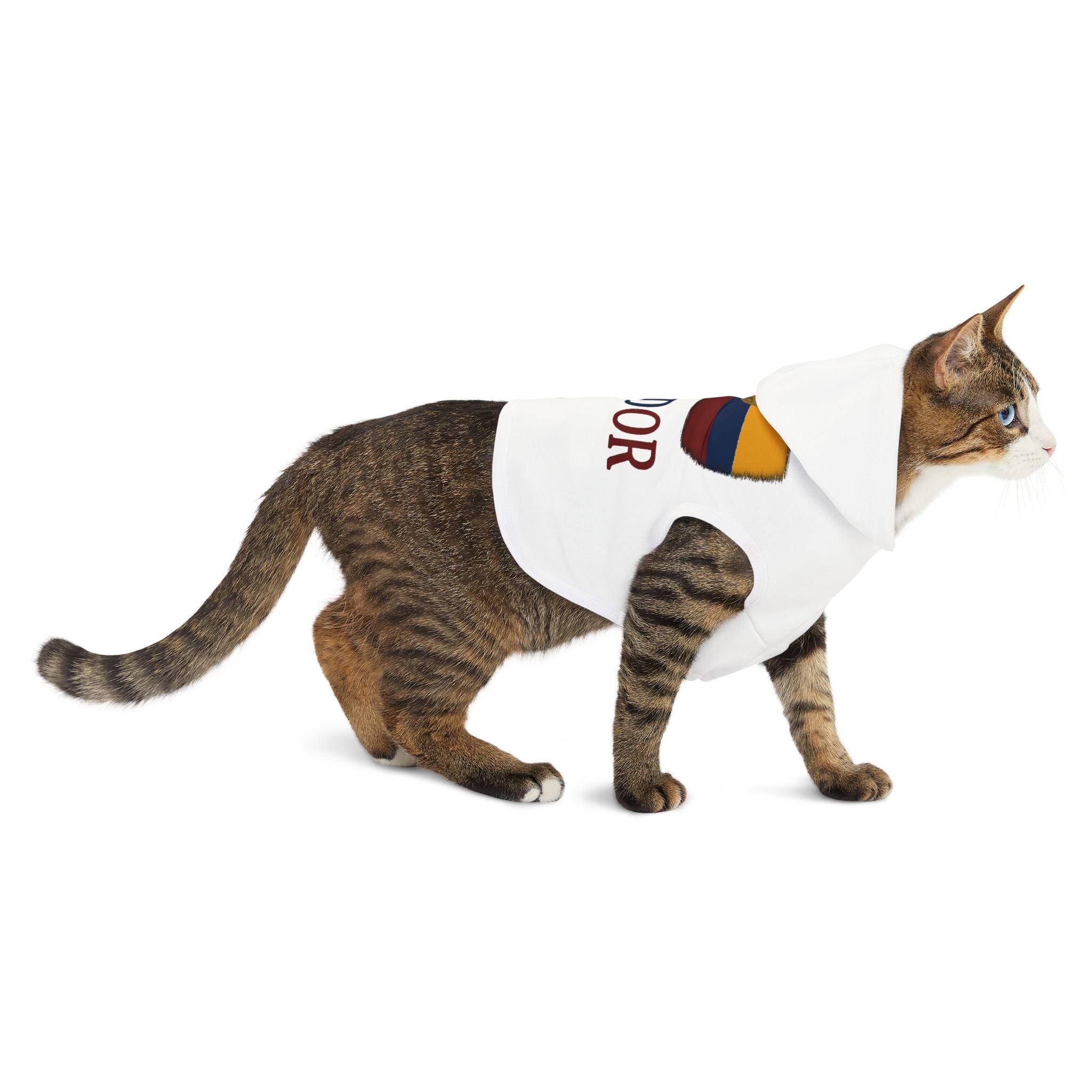 Ecuador Pet Hoodie