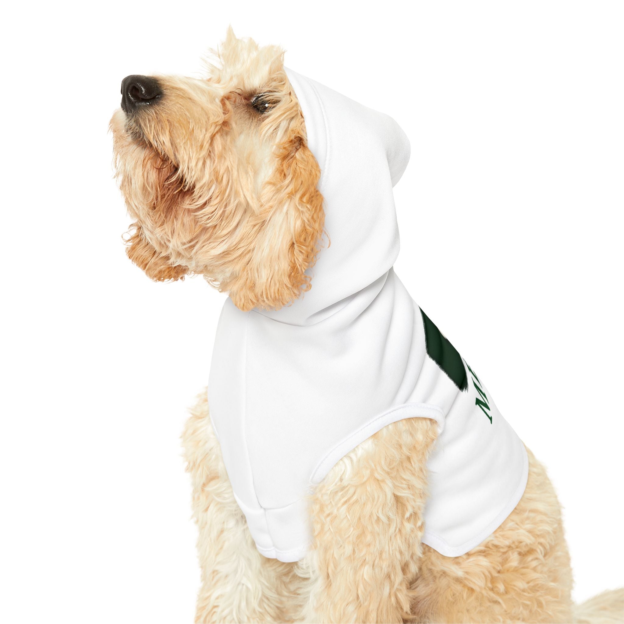 Mexico Pet Hoodie