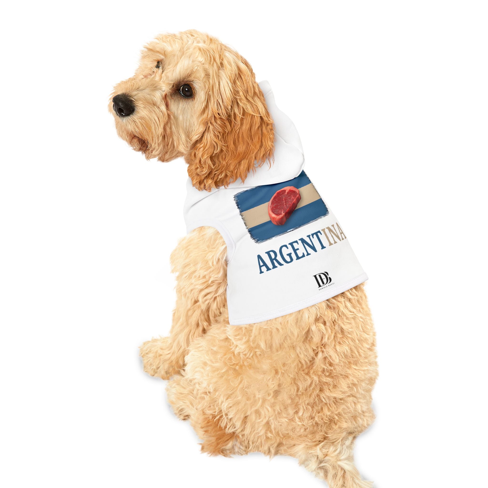 Argentina Pet Hoodie