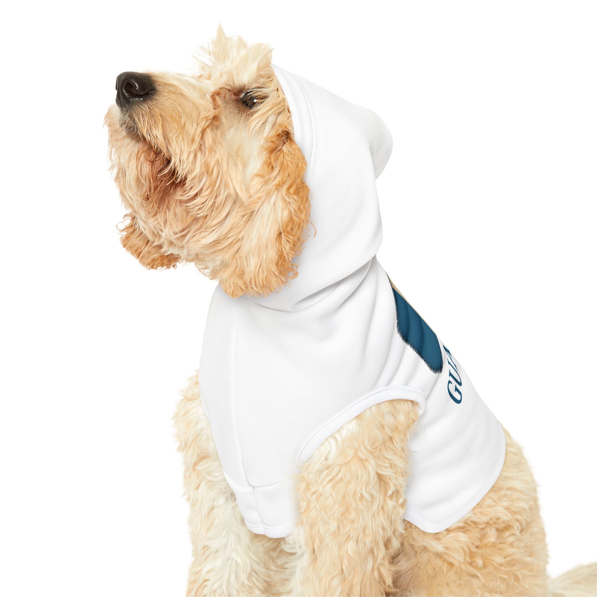 Guatemala Pet Hoodie