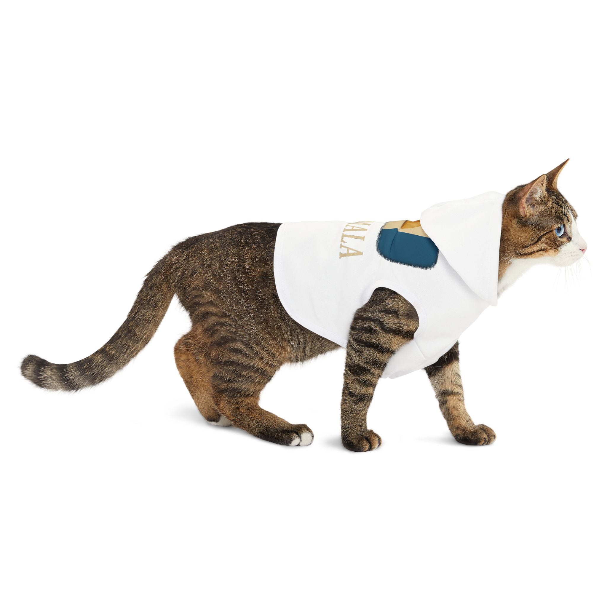 Guatemala Pet Hoodie