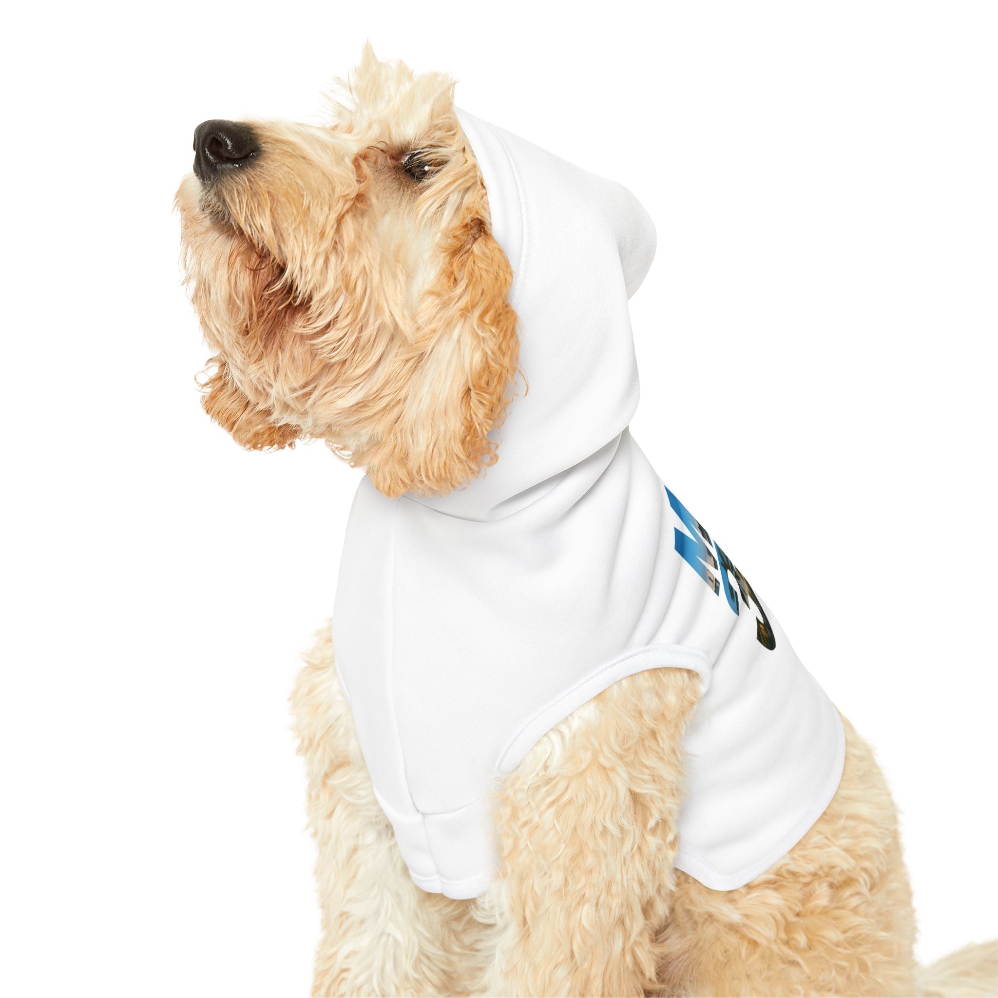Miami 305 Pet Hoodie