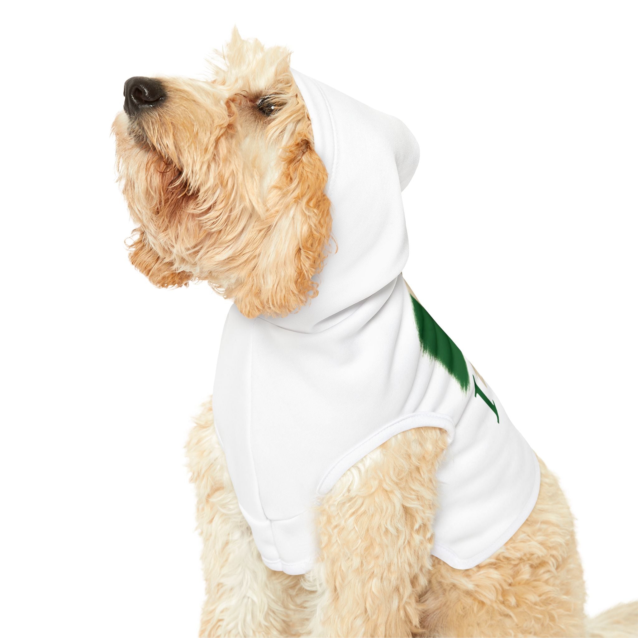 Italy Pet Hoodie