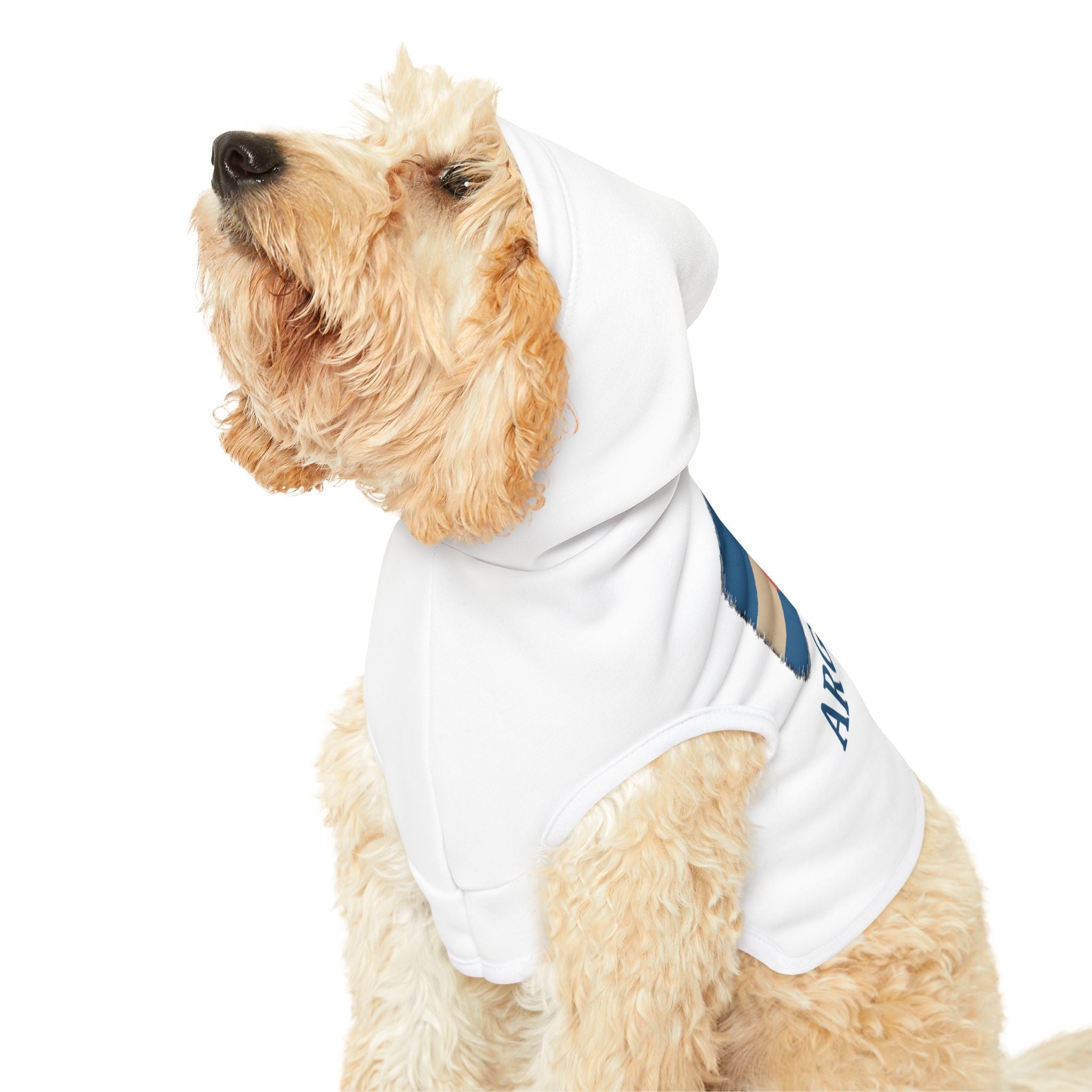 Argentina Pet Hoodie