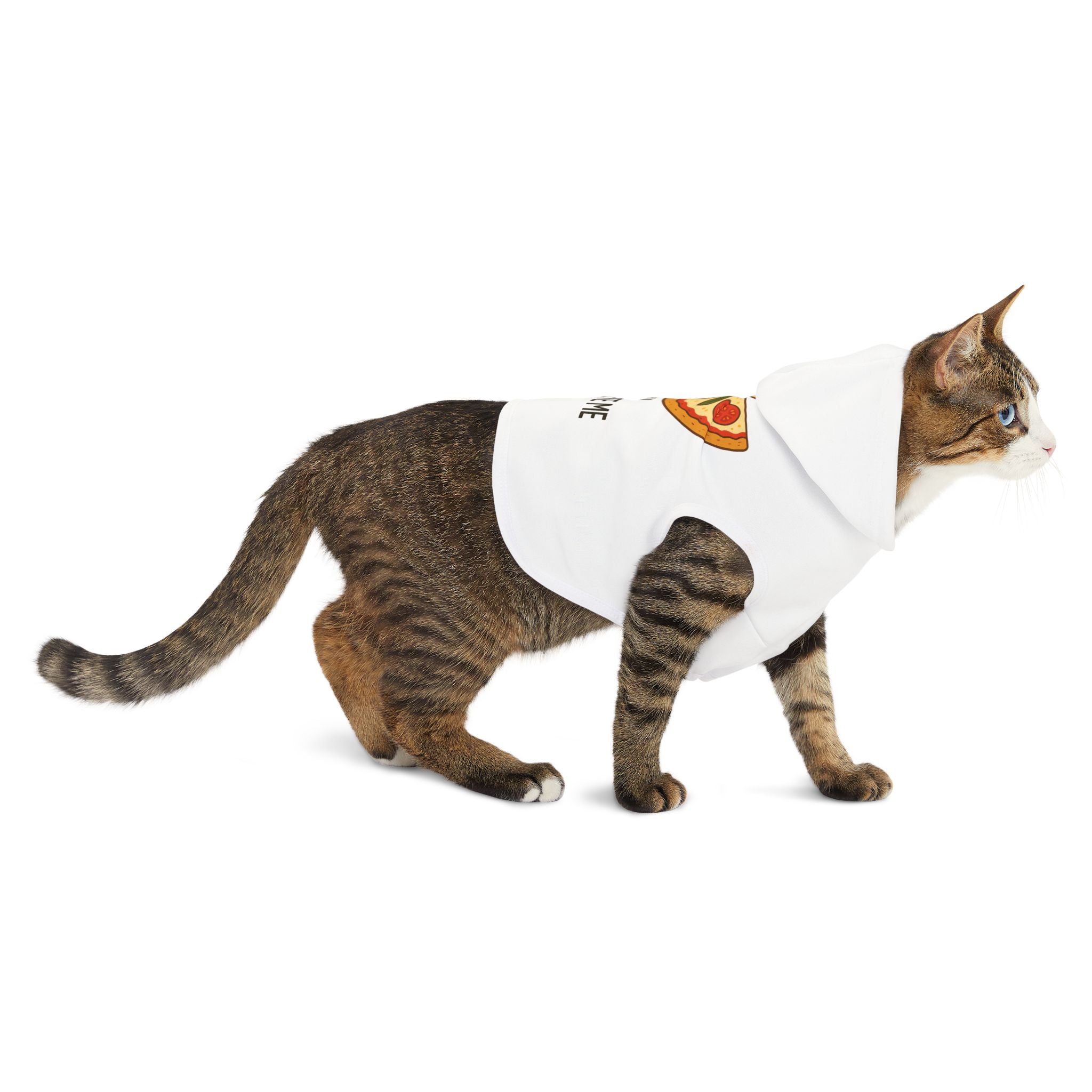 You Complete Me Pet Hoodie