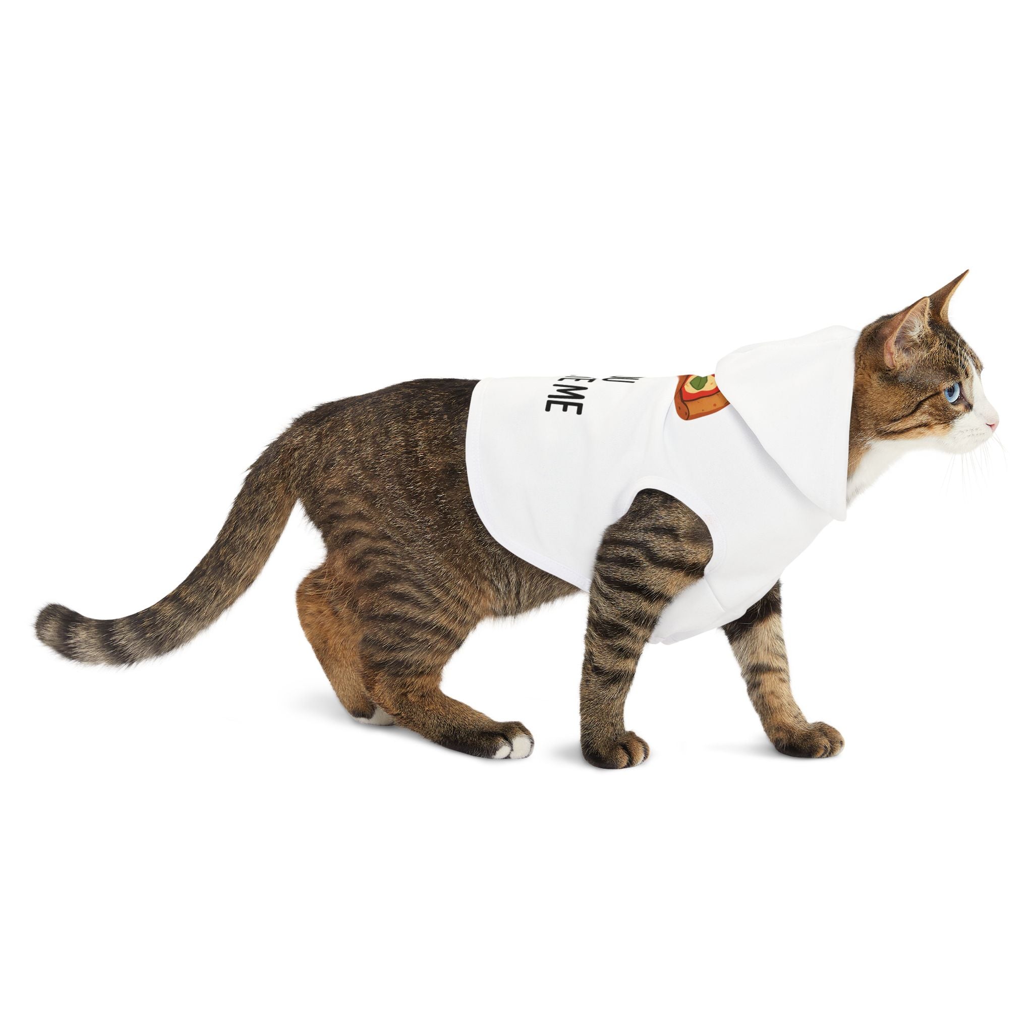 You Complete Me Pet Hoodie