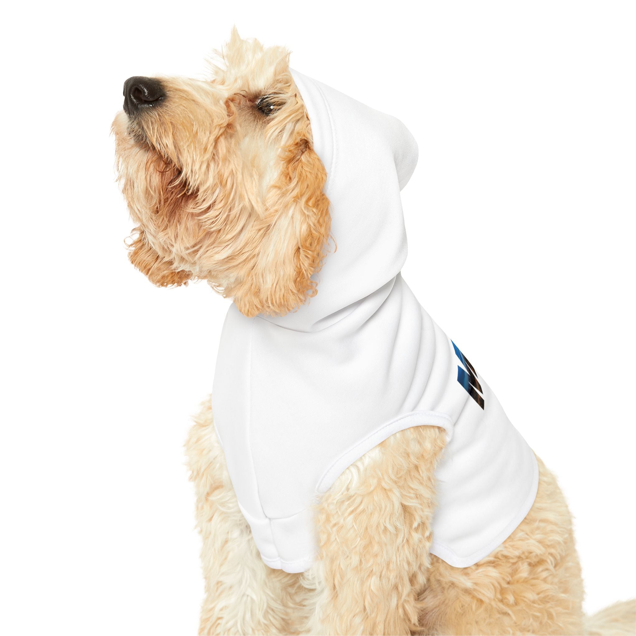 Miami Pet Hoodie