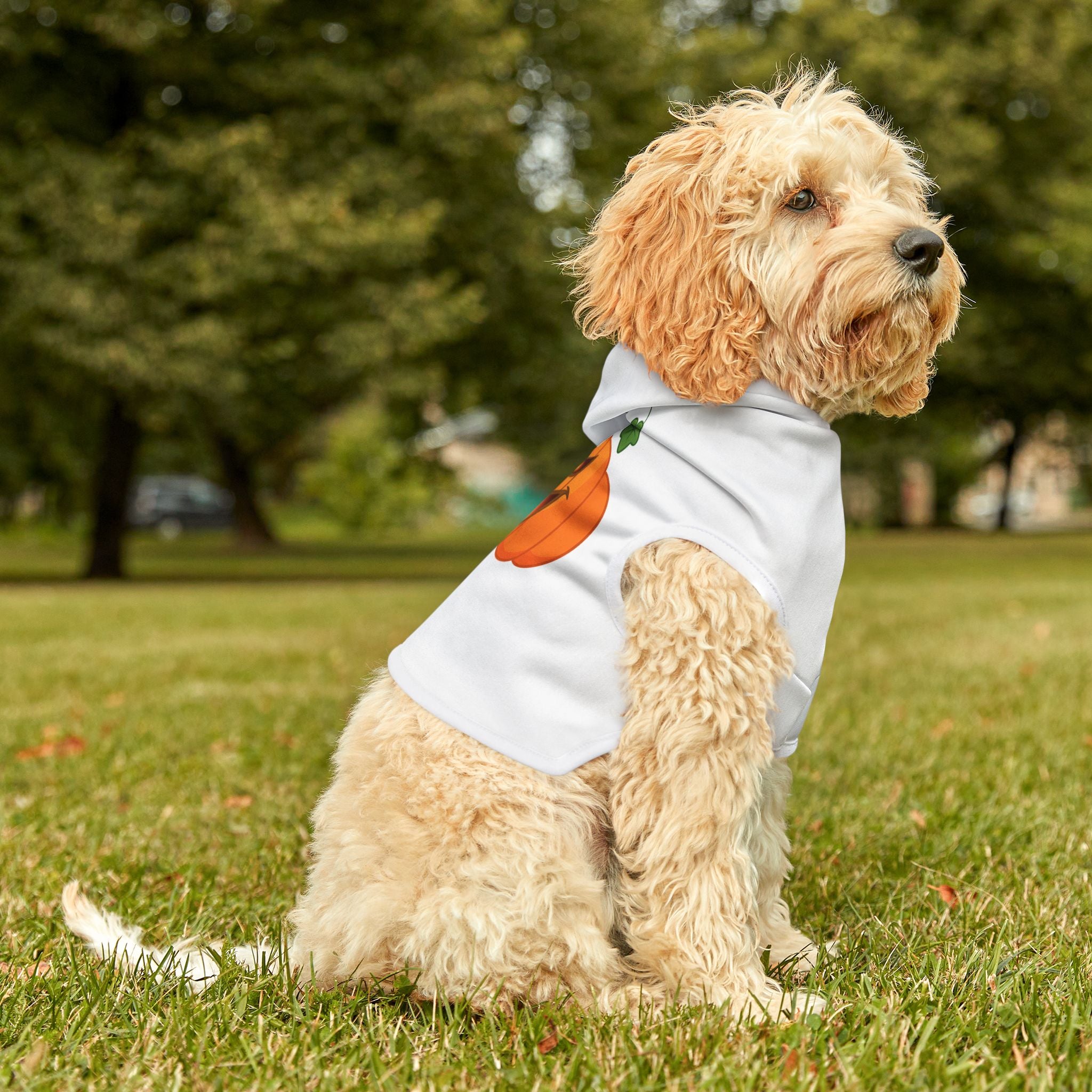 Halloween Pumpkin Pet Hoodie
