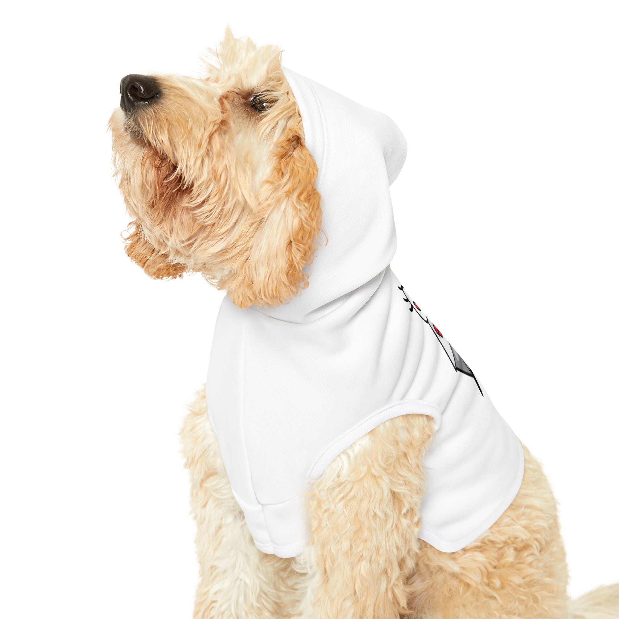 Love Pet Hoodie