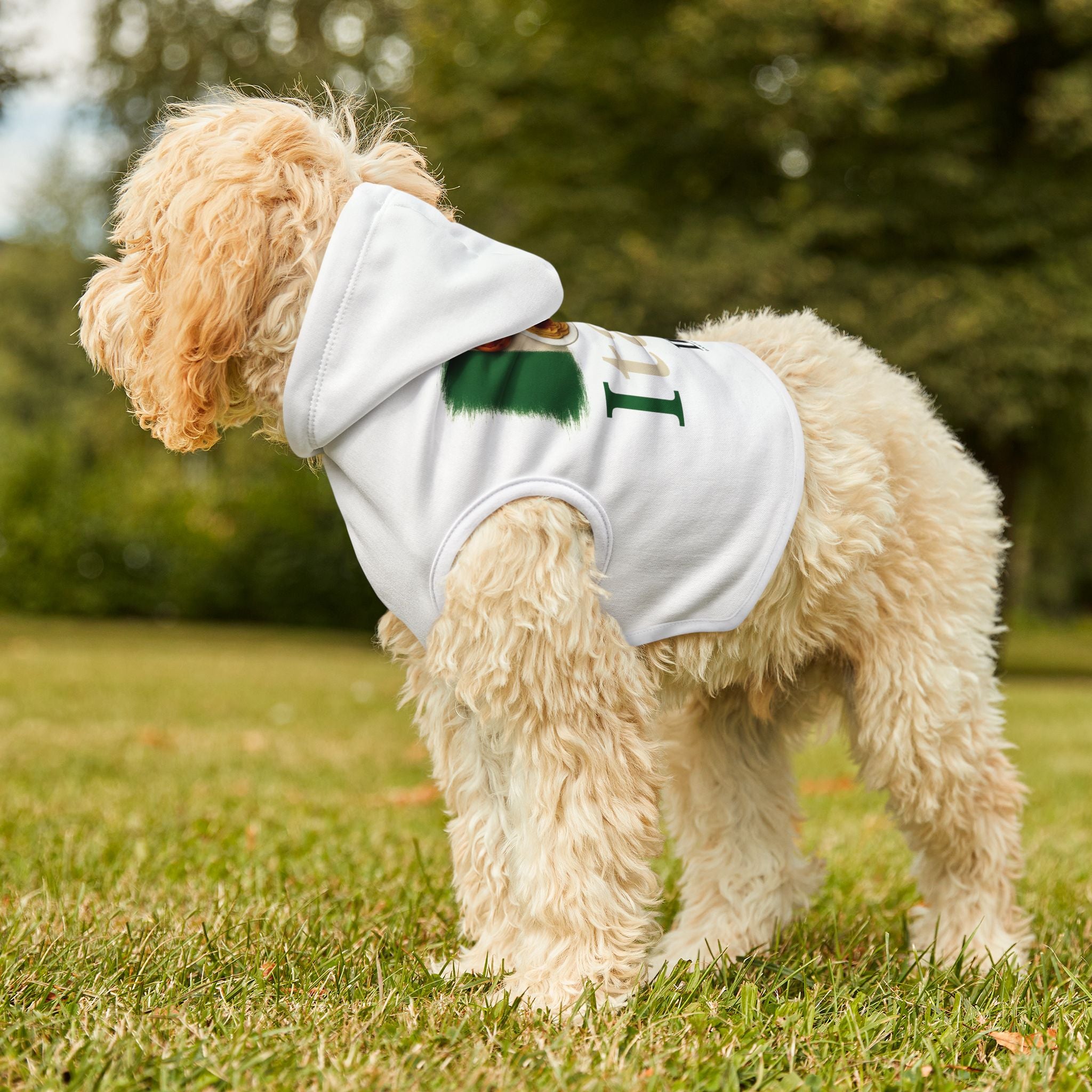 Italy Pet Hoodie