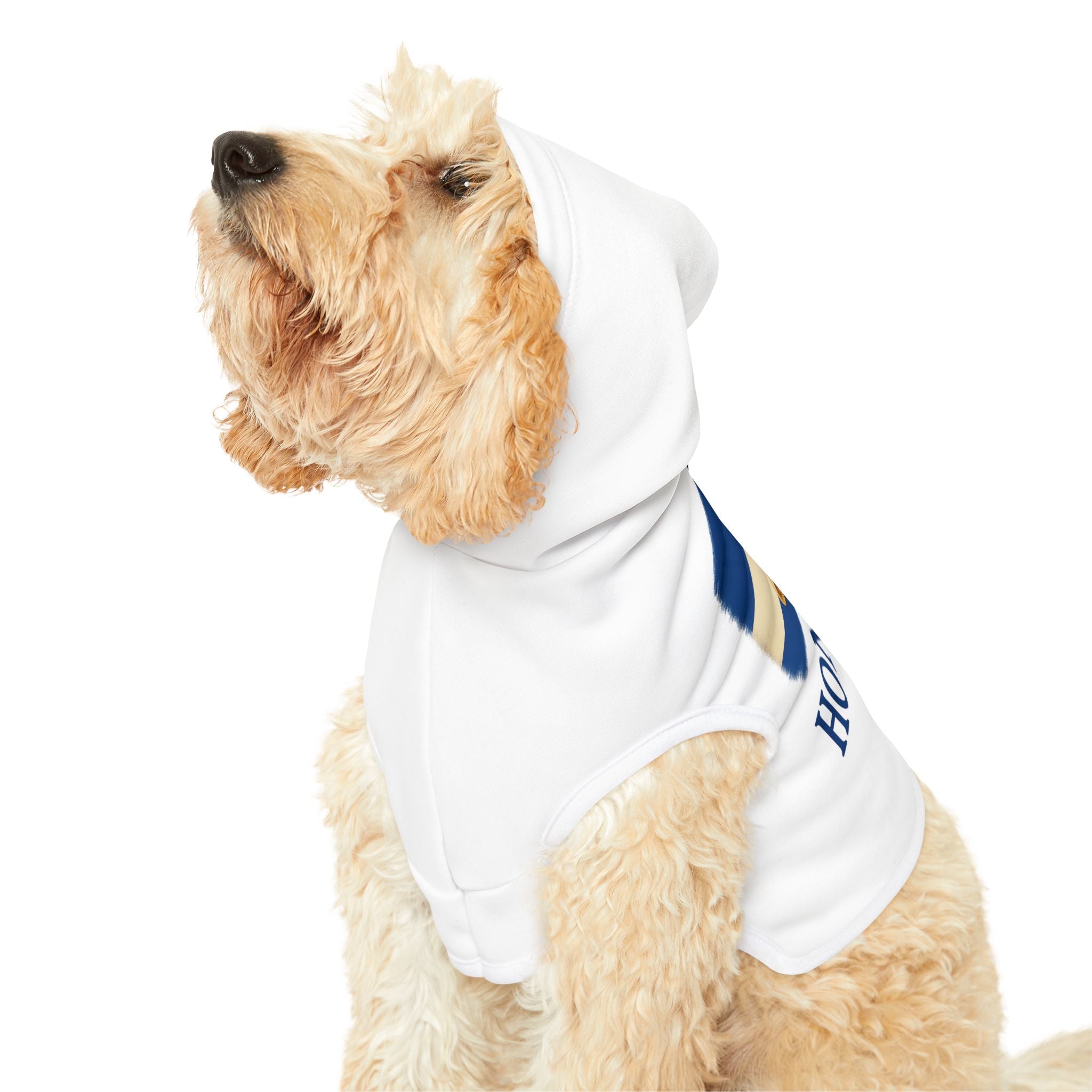 Honduras Pet Hoodie