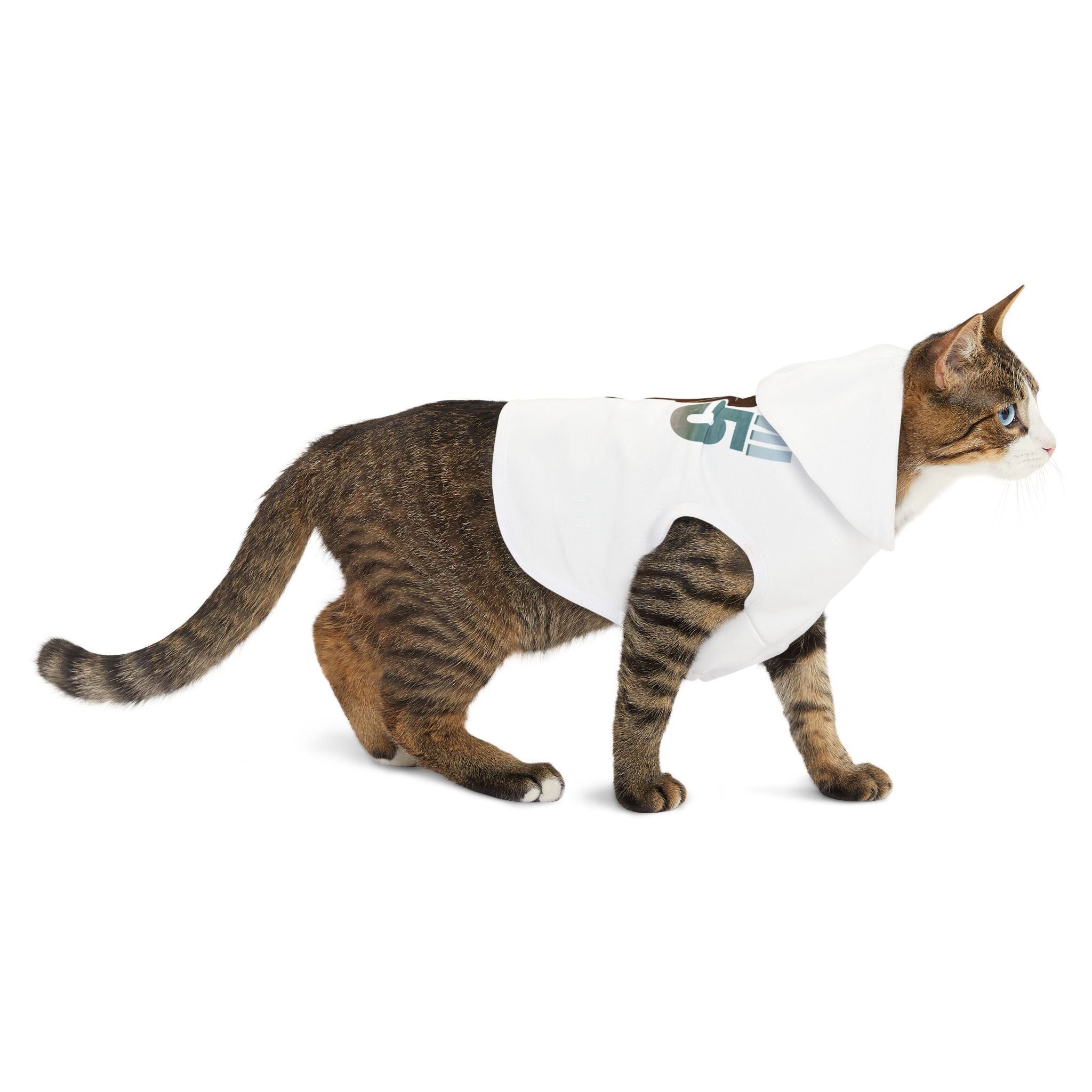 Miami 305 Pet Hoodie