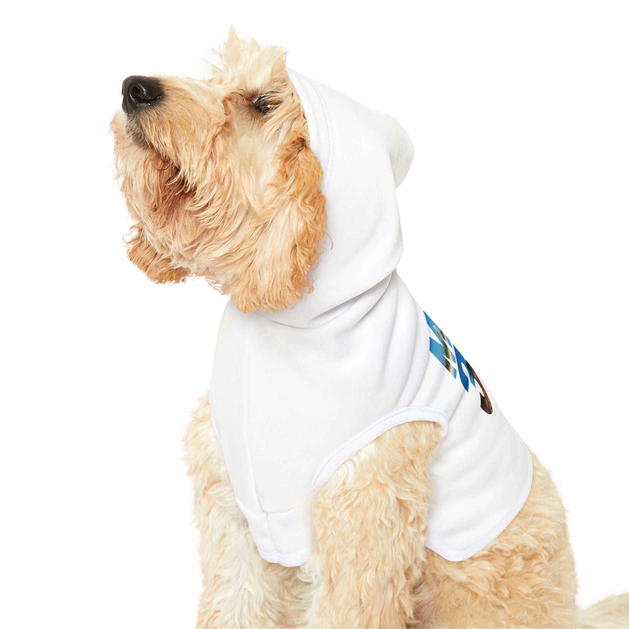 Miami 305 Pet Hoodie