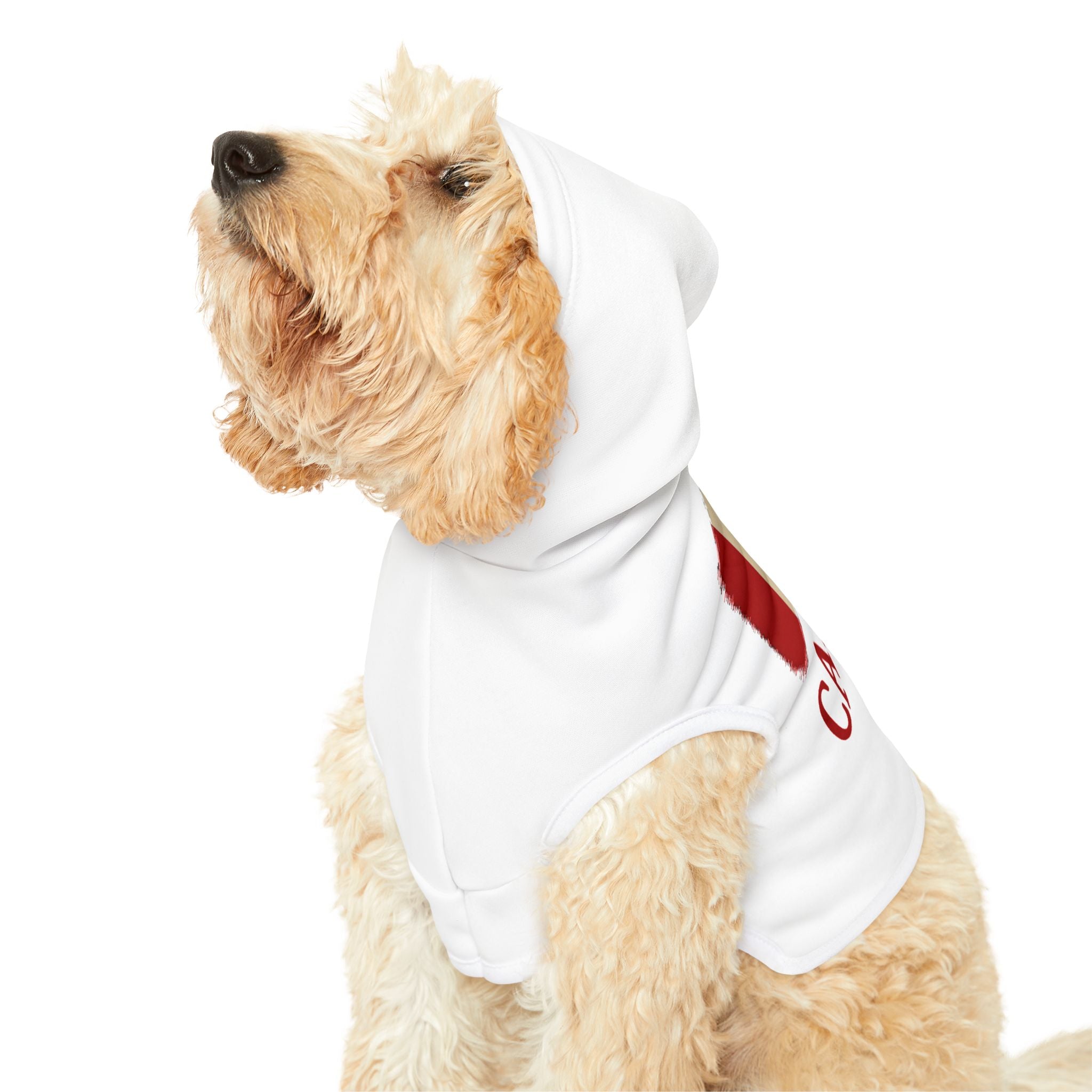 Canada Pet Hoodie
