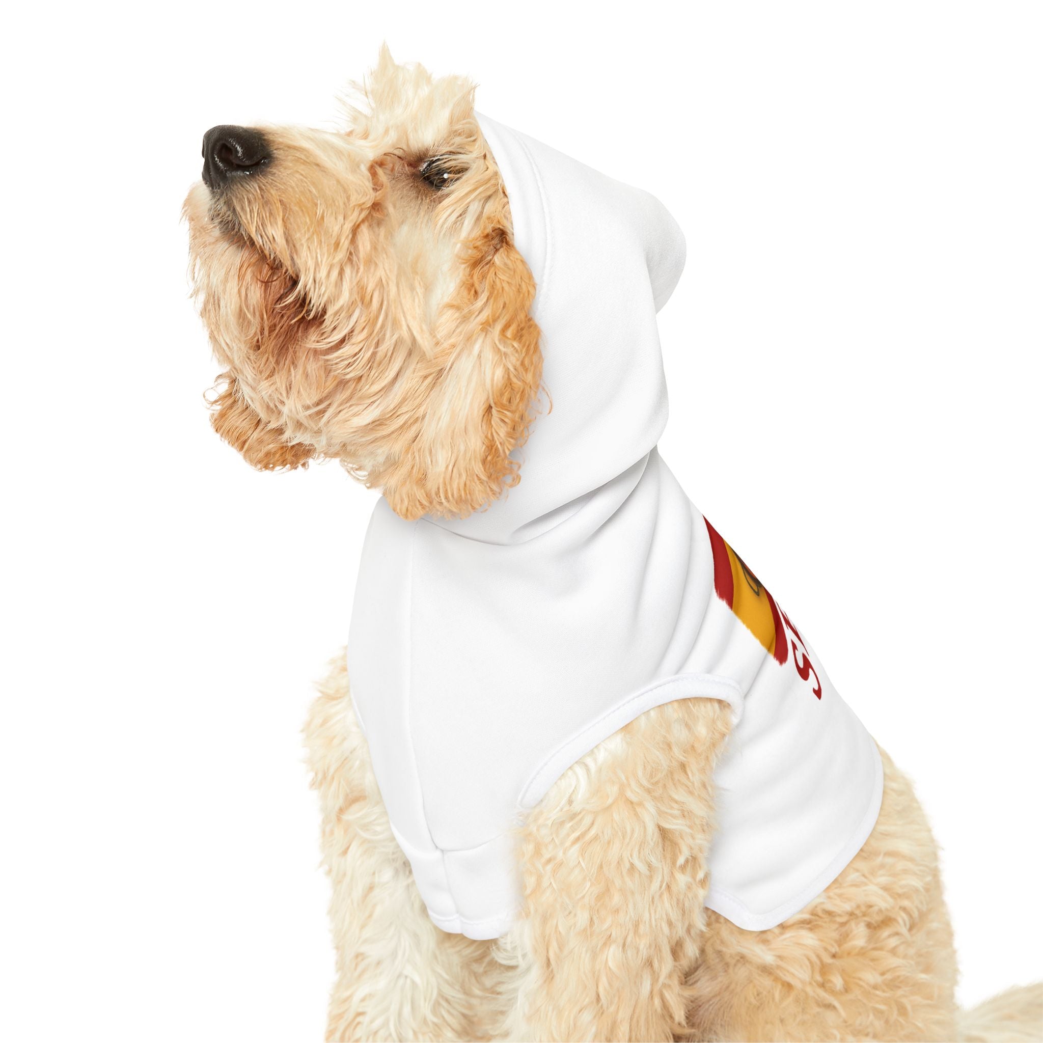 Spain Pet Hoodie