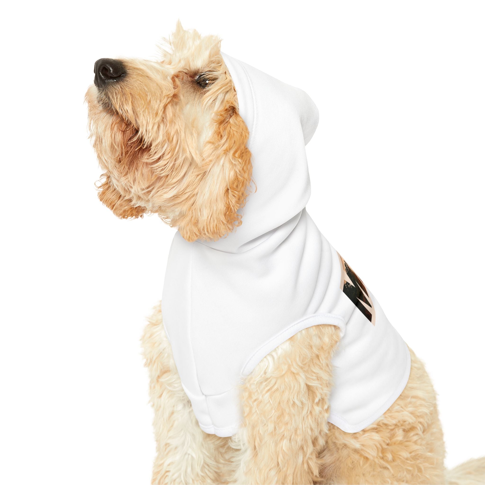 Miami Pet Hoodie