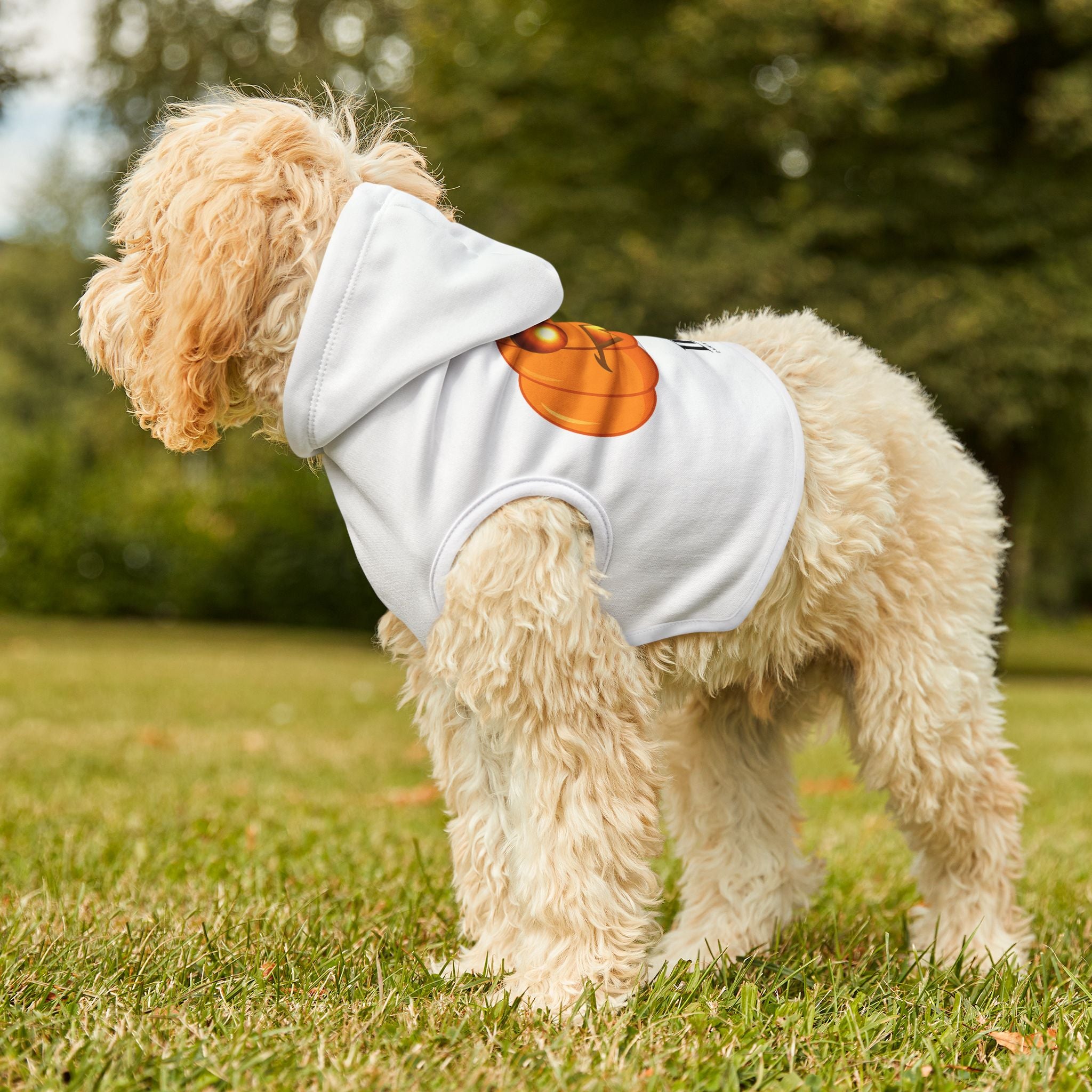 Halloween Pumpkin Pet Hoodie