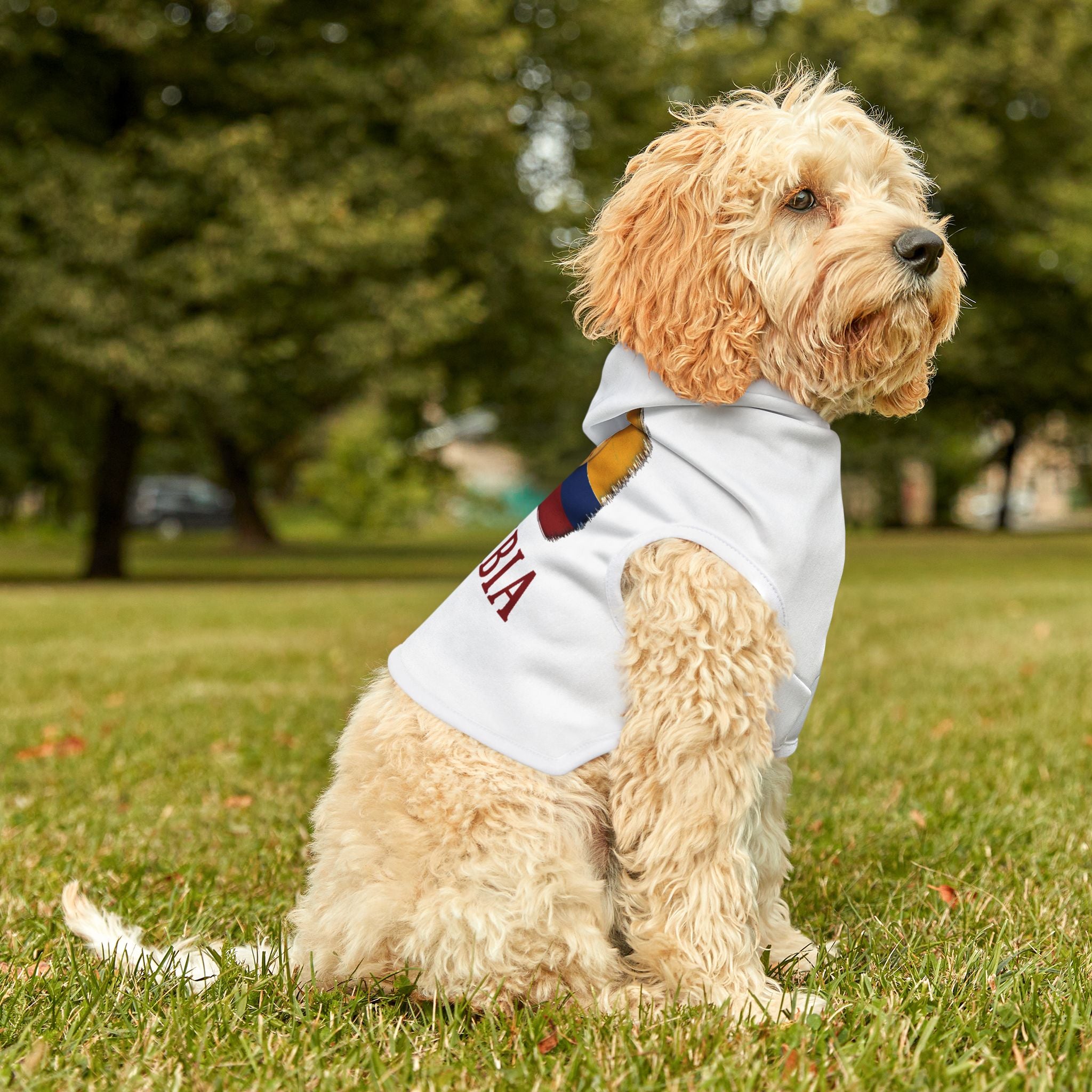 Colombia Pet Hoodie