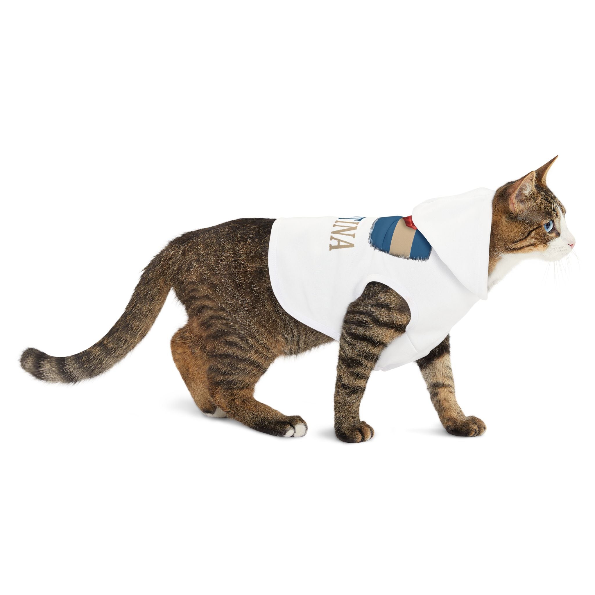 Argentina Pet Hoodie