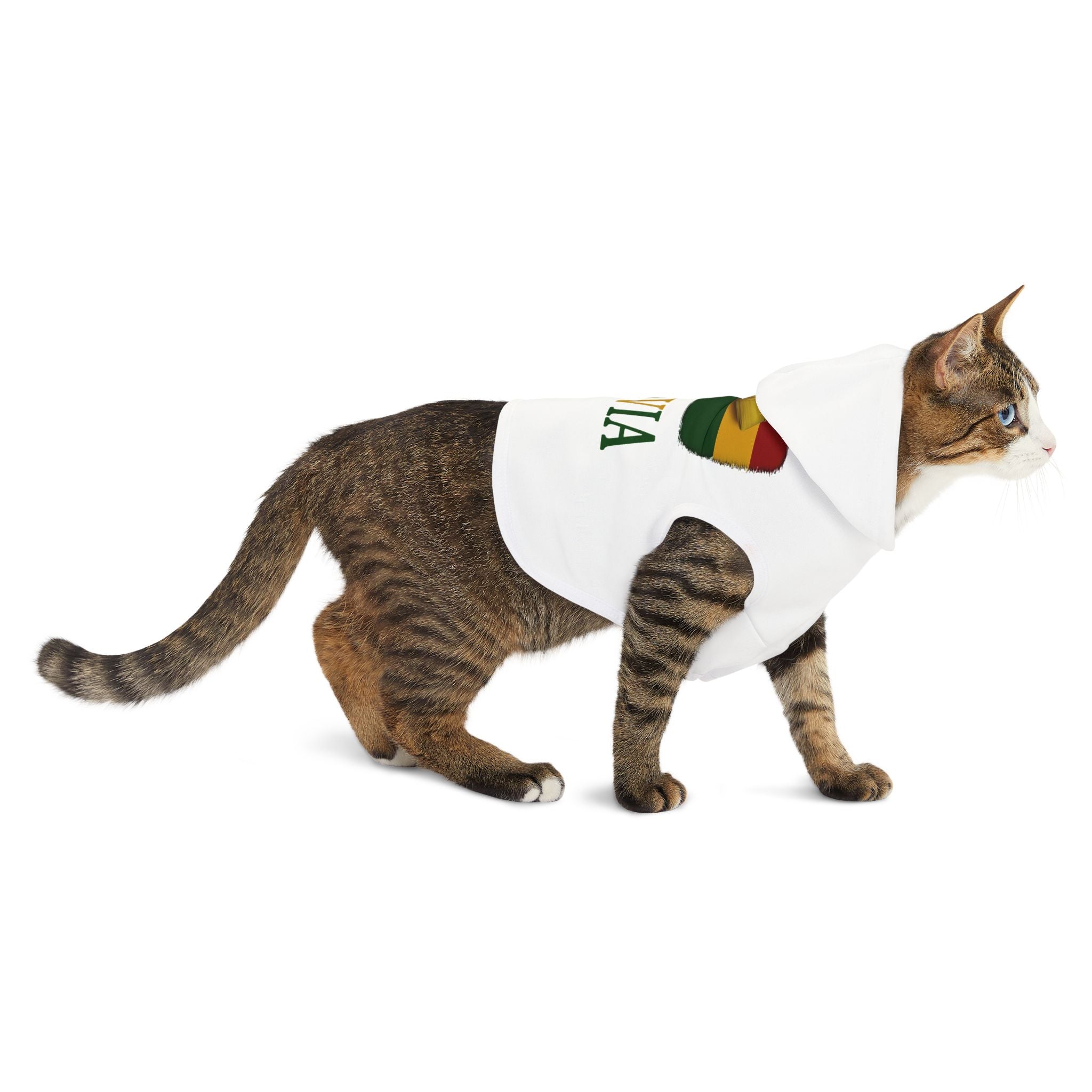 Bolivia Pet Hoodie