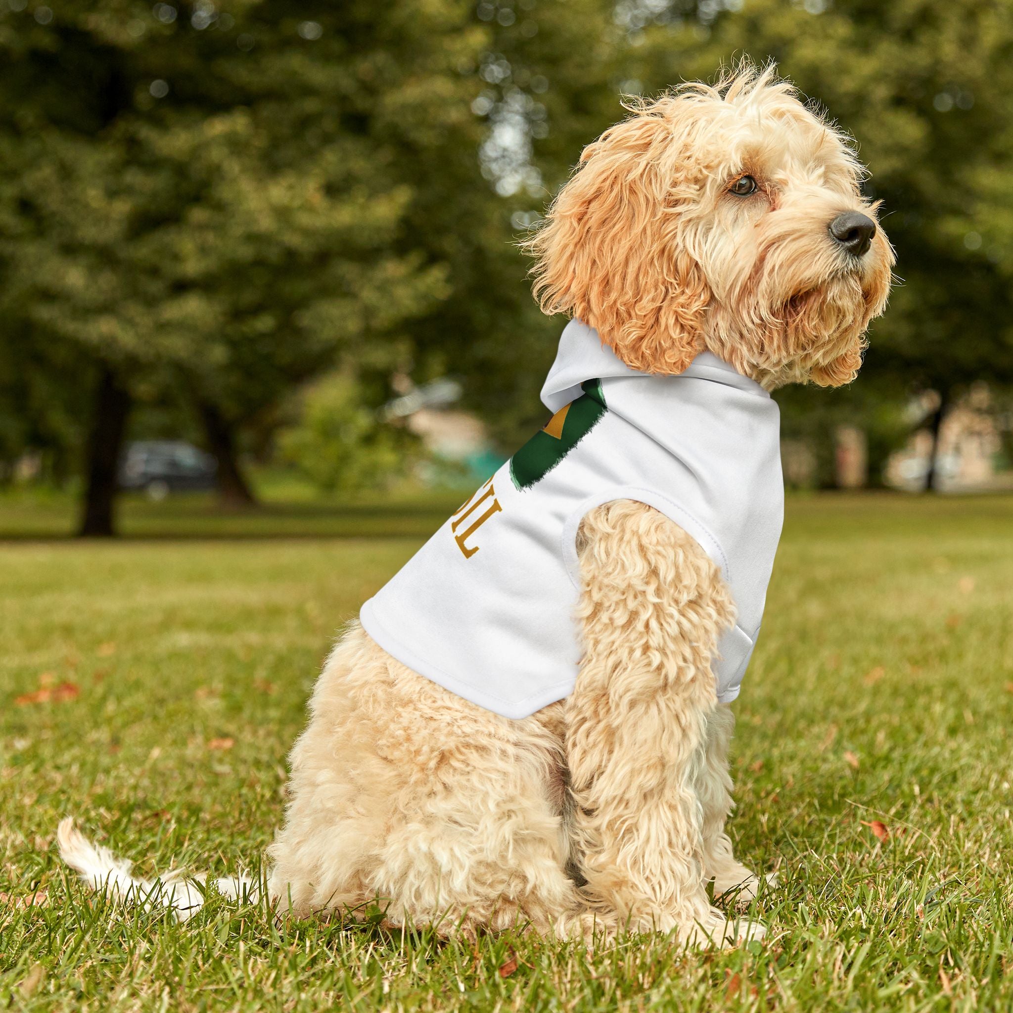 Brasil Pet Hoodie