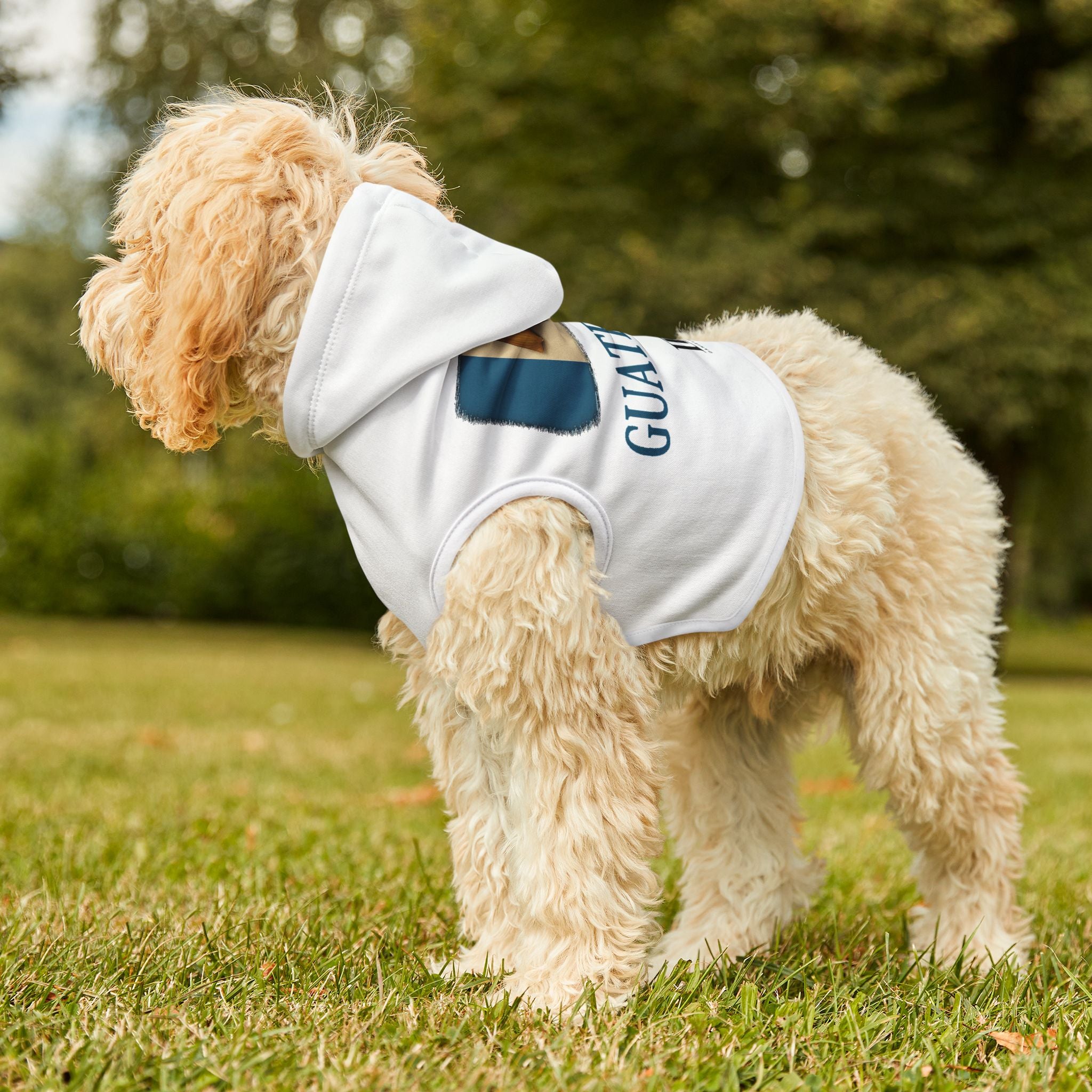 Guatemala Pet Hoodie