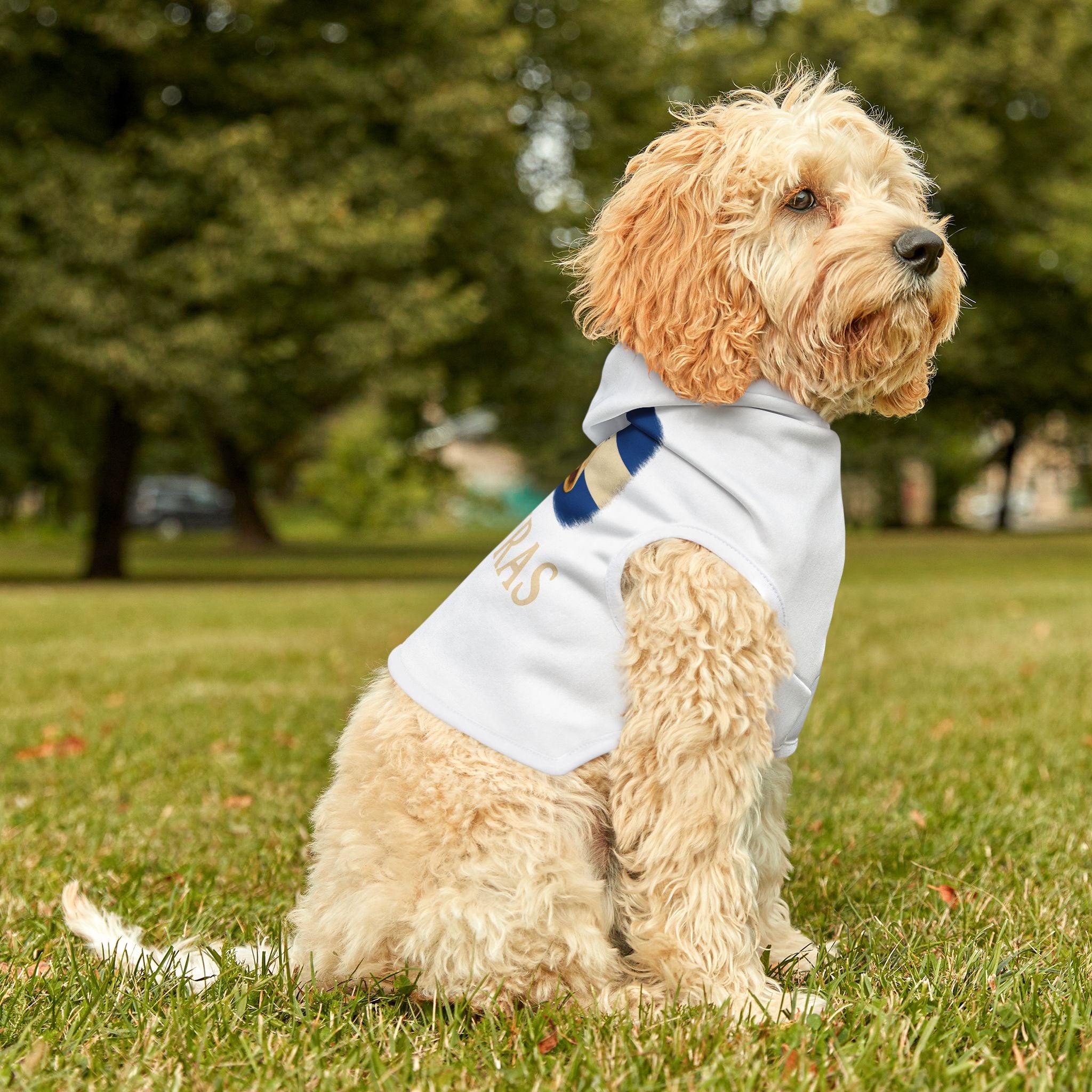 Honduras Pet Hoodie