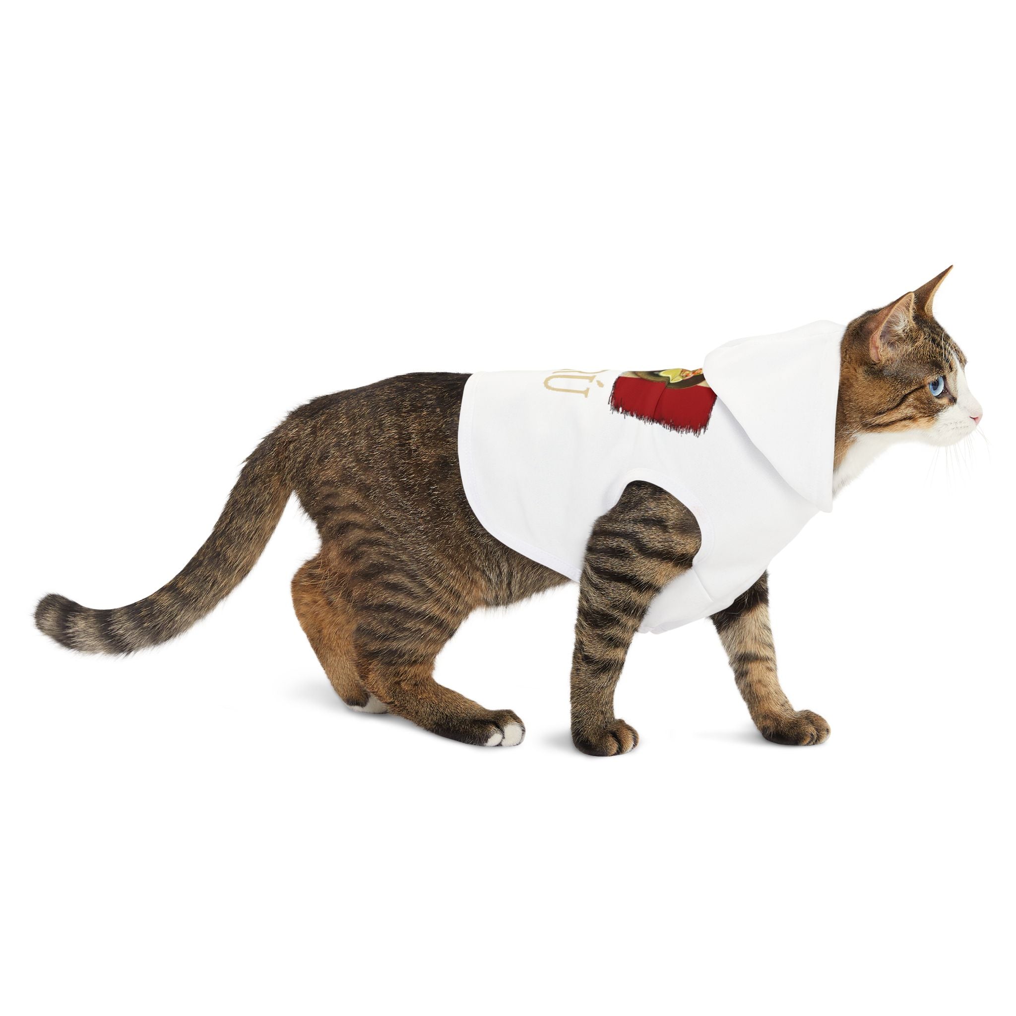 Peru Pet Hoodie