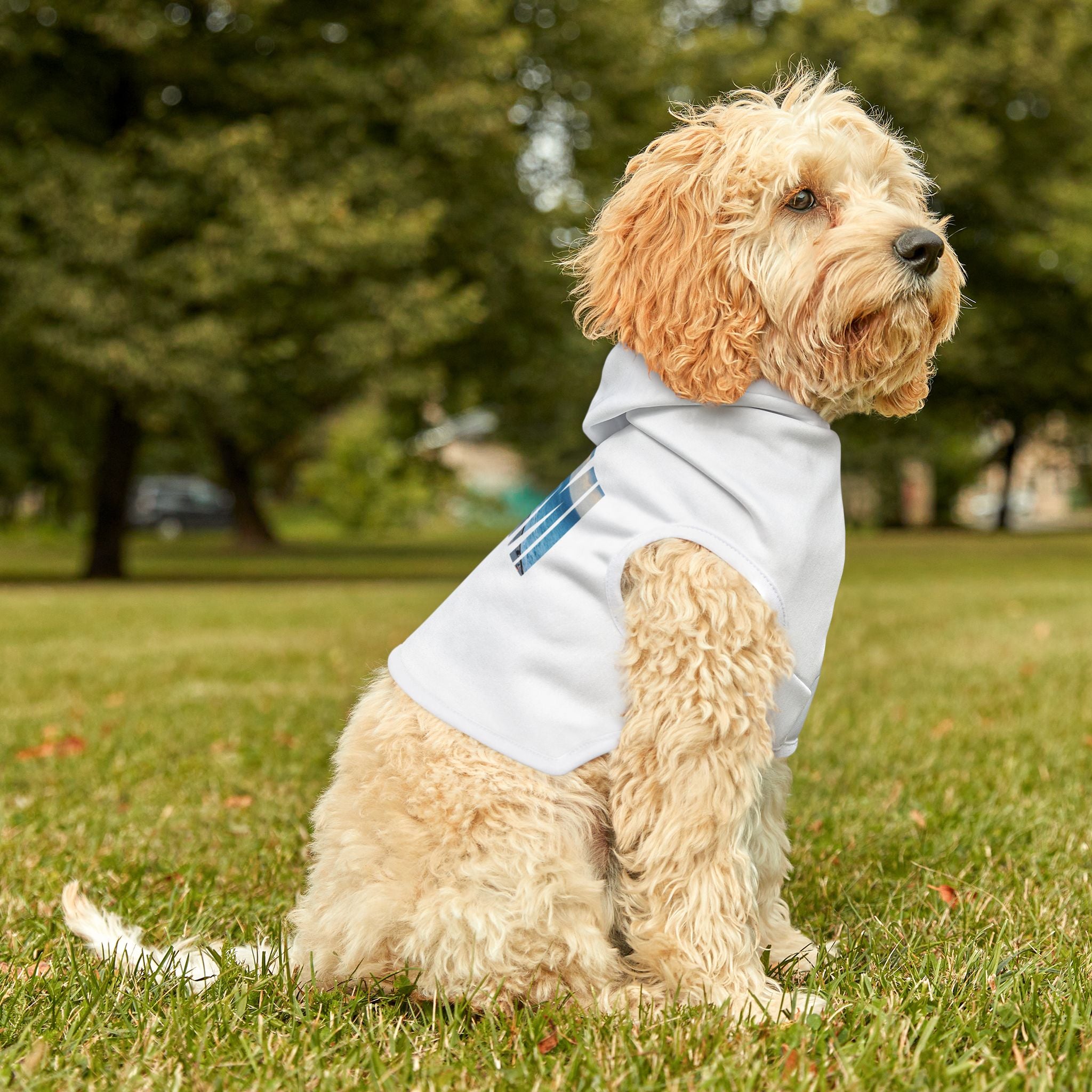 Miami Pet Hoodie
