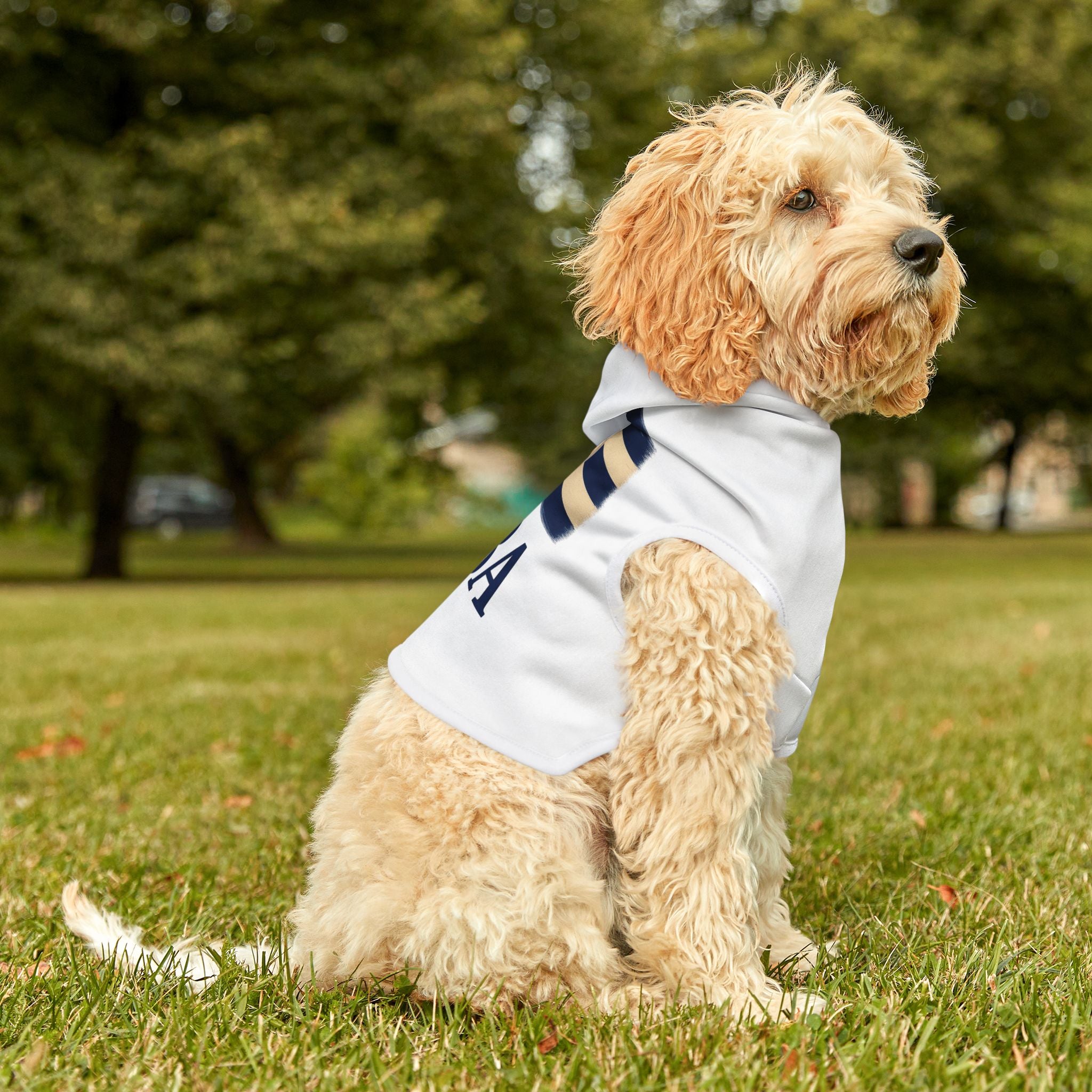 Cuba Pet Hoodie