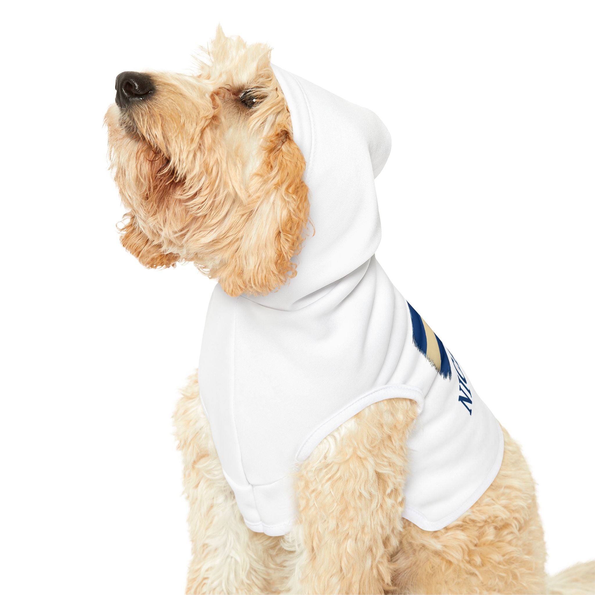 Nicaragua Pet Hoodie