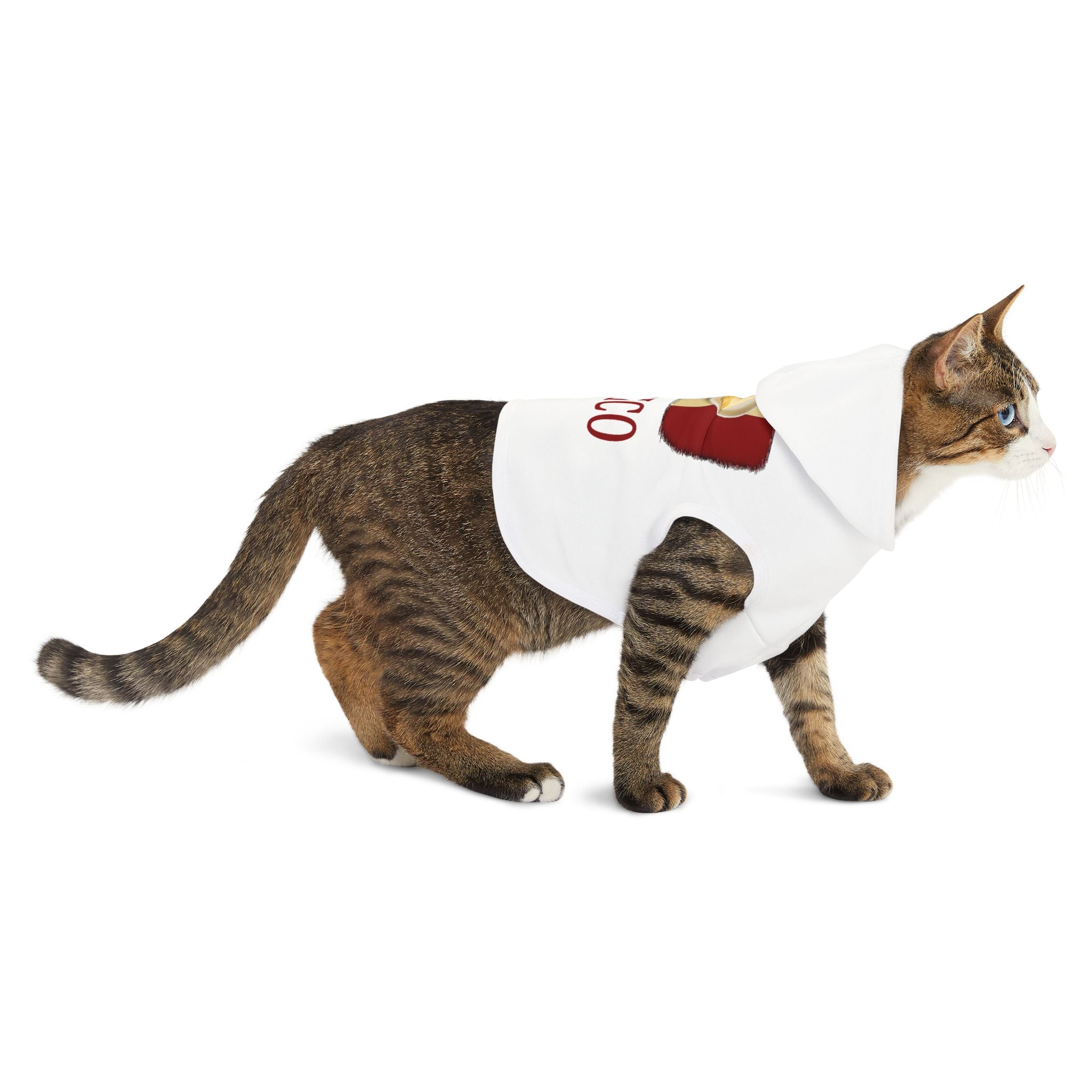 Mexico Pet Hoodie