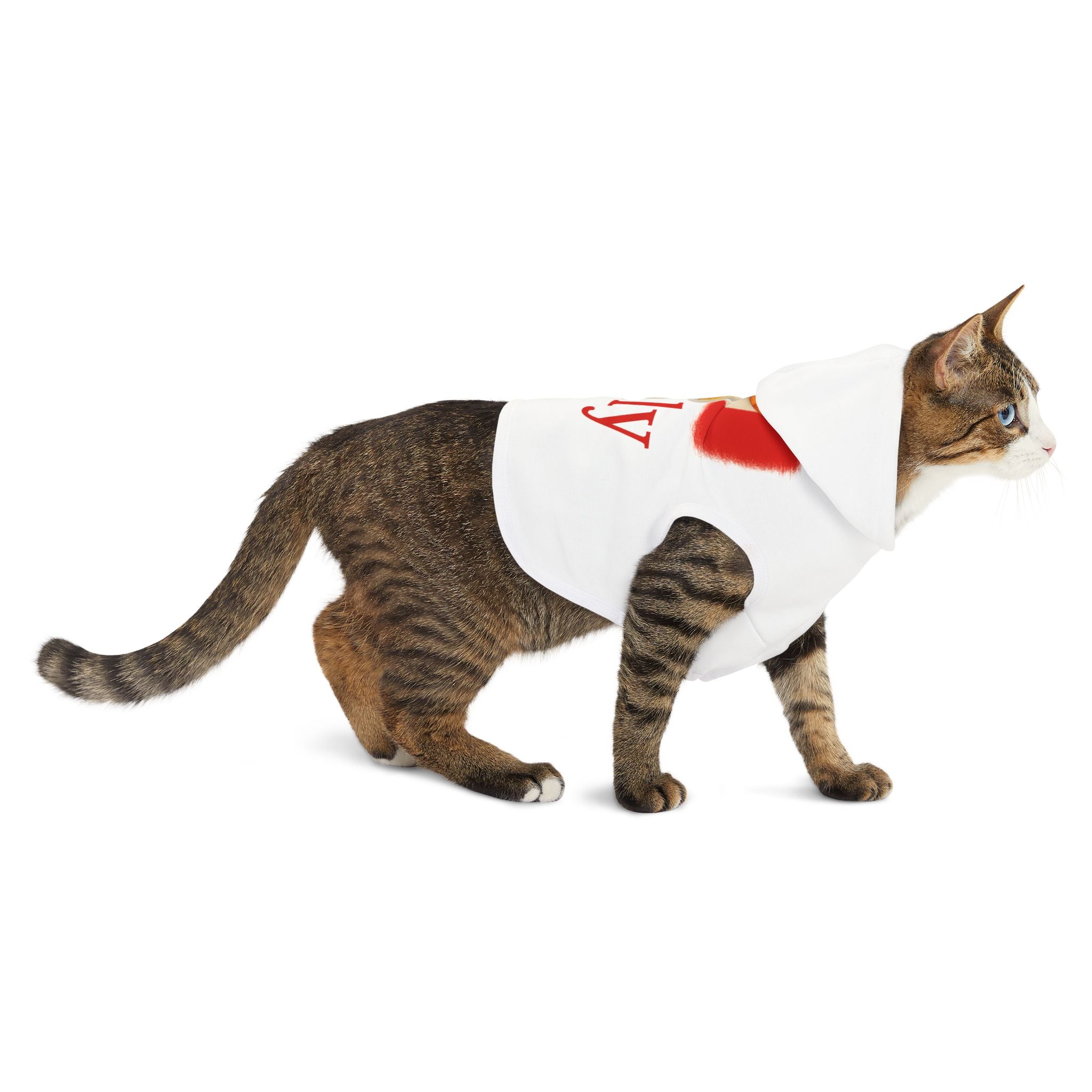 Italy Pet Hoodie