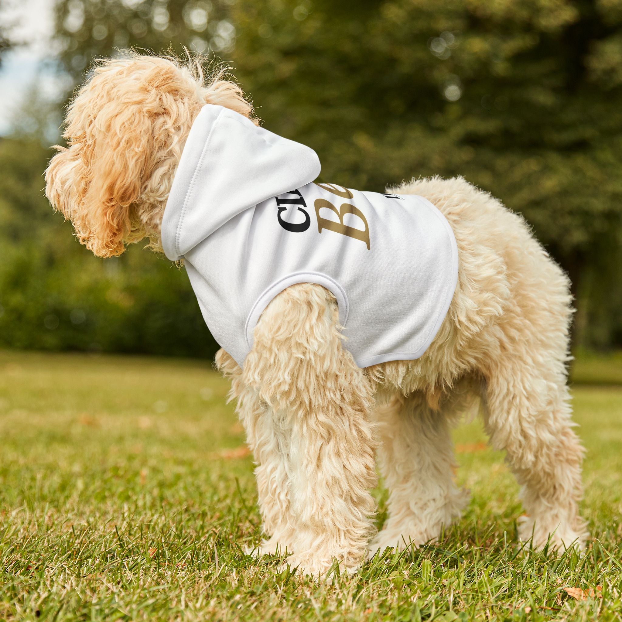 Ciao Bella Pet Hoodie