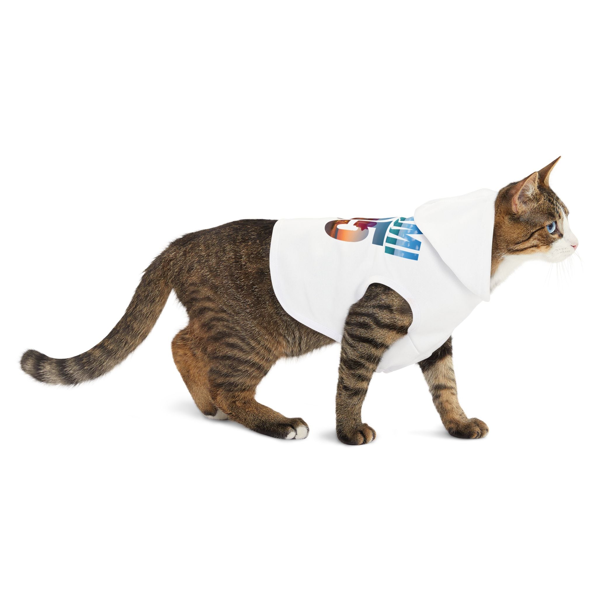 Miami 305 Pet Hoodie