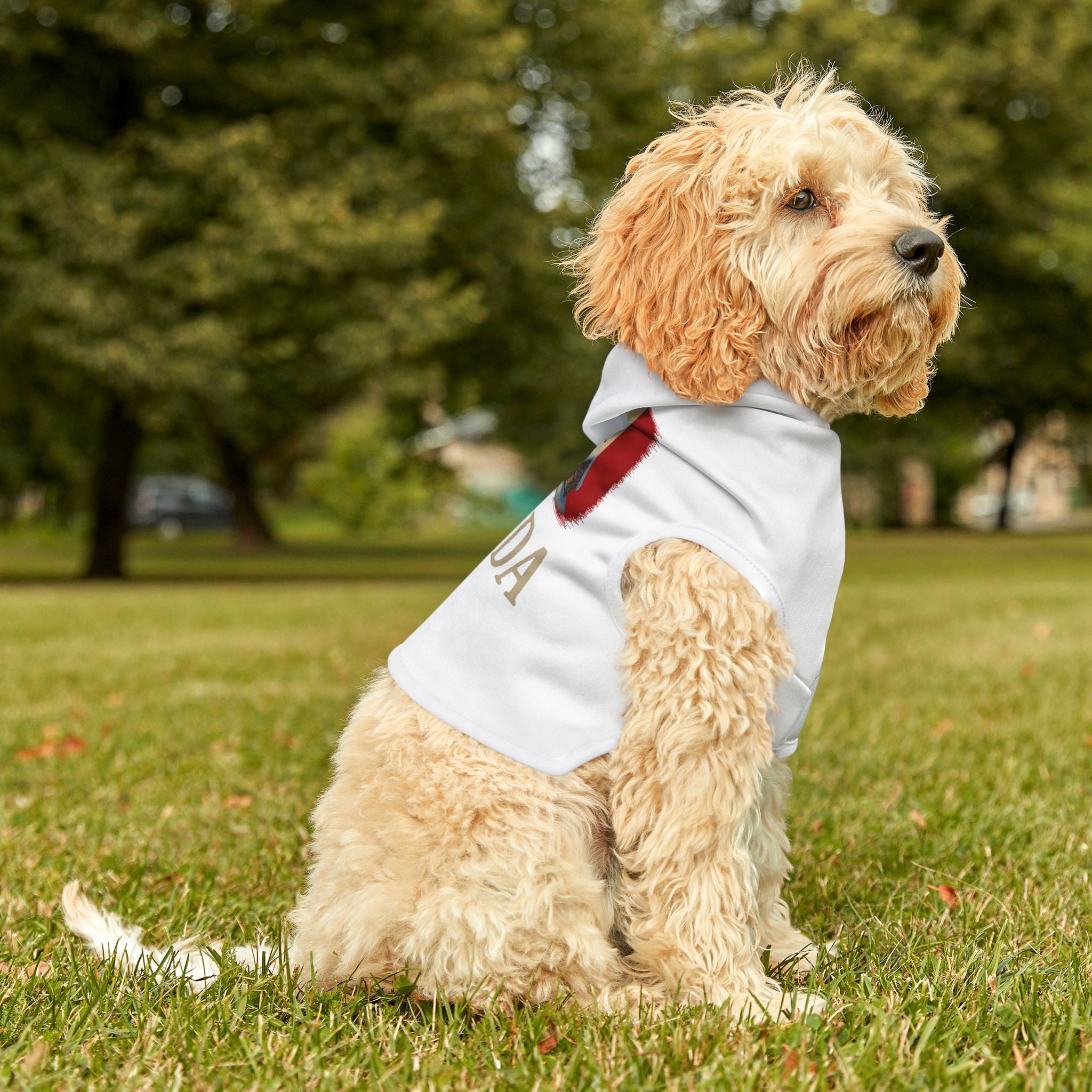 Canada Pet Hoodie