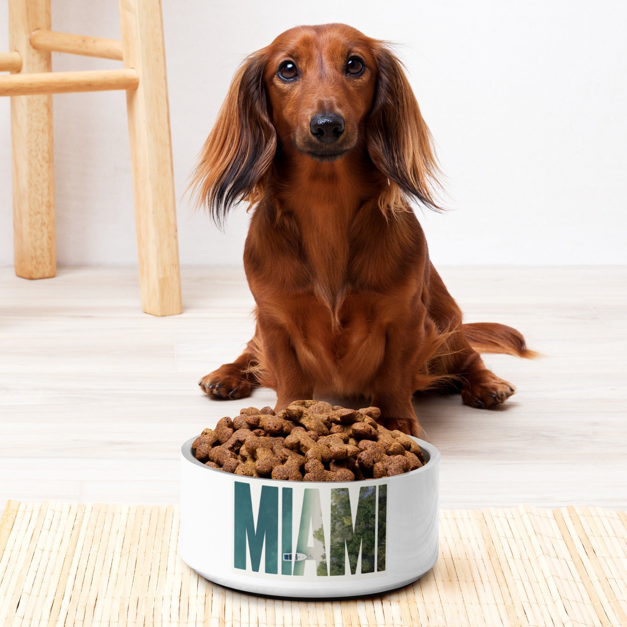 Pet Bowls