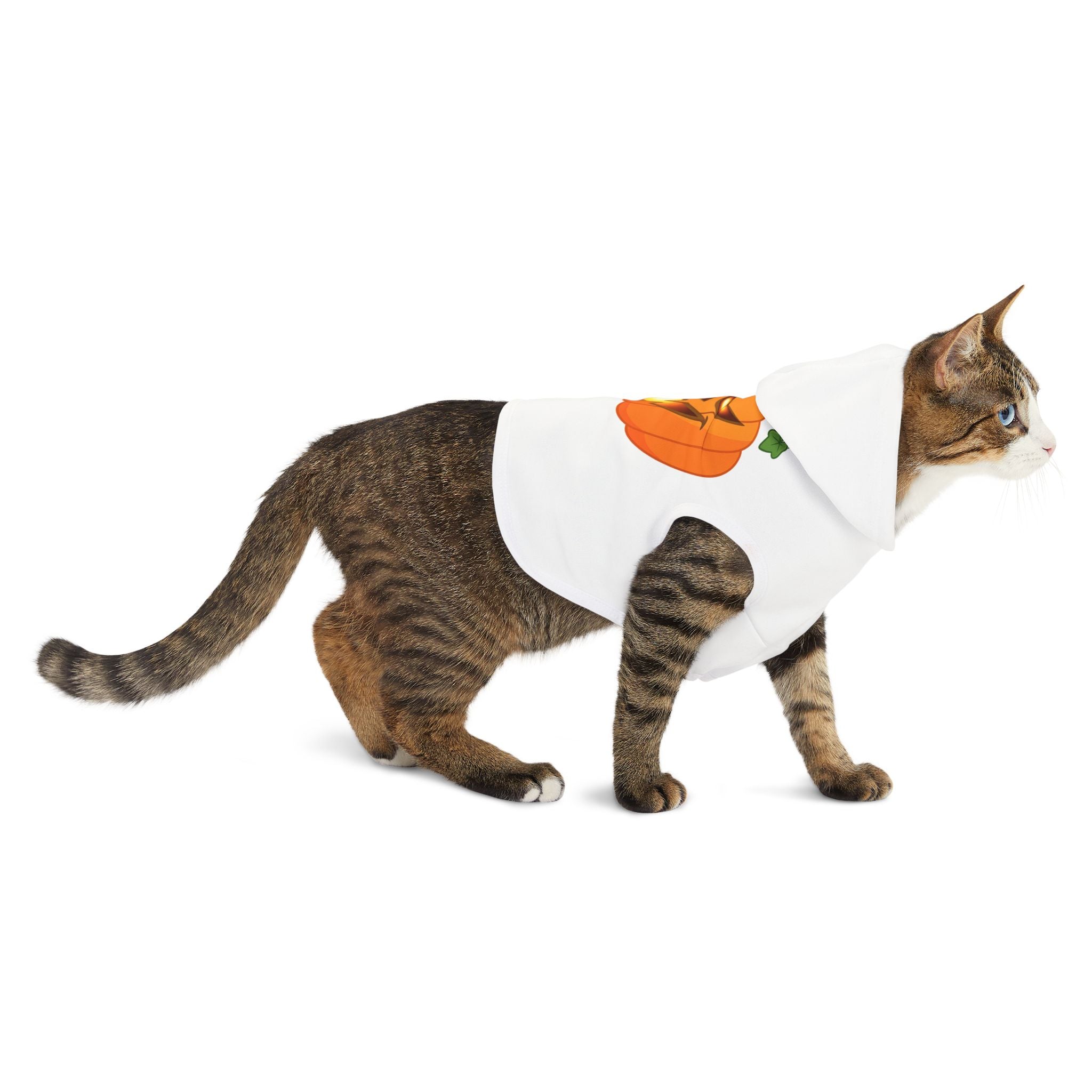 Halloween Pumpkin Pet Hoodie