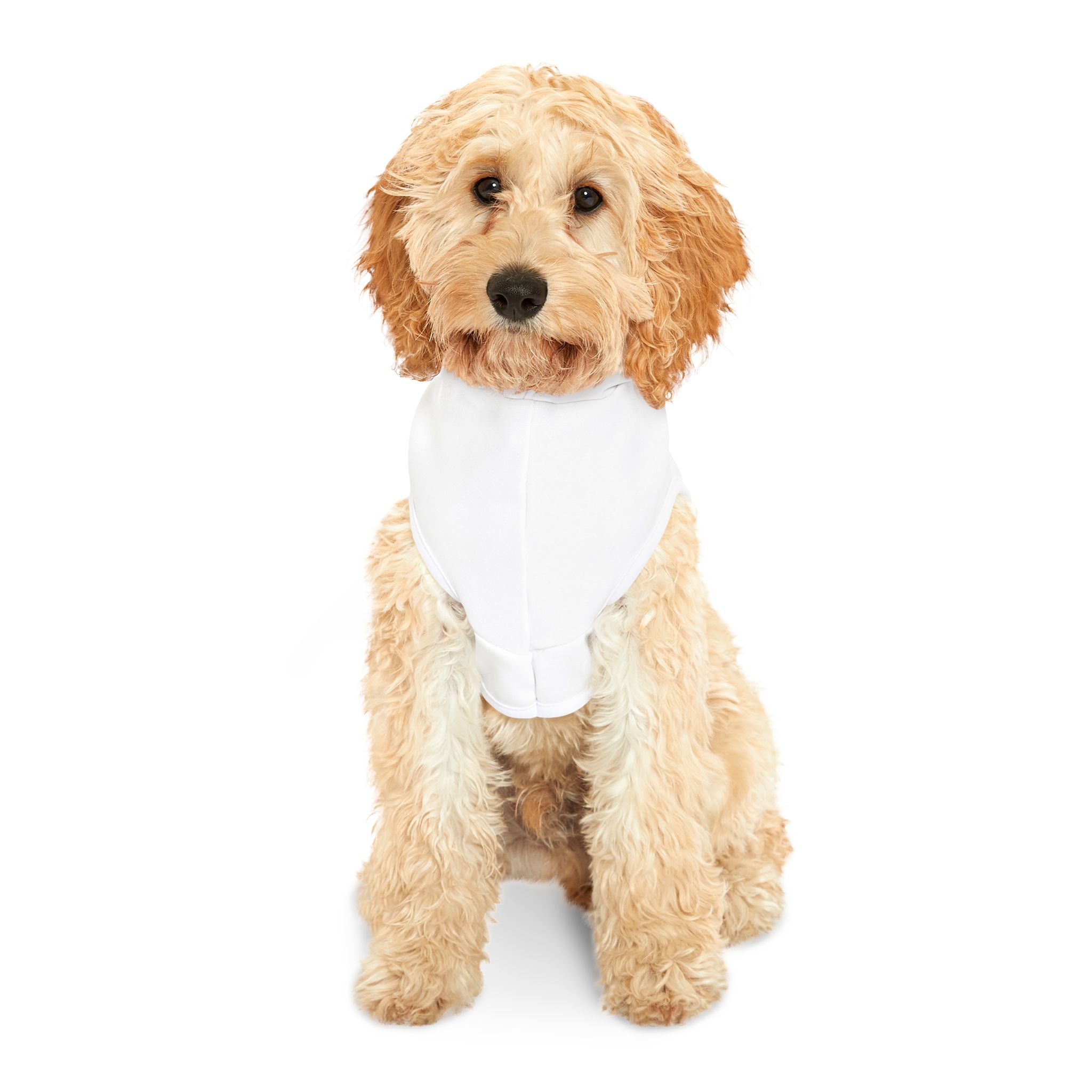 Miami 305 Pet Hoodie