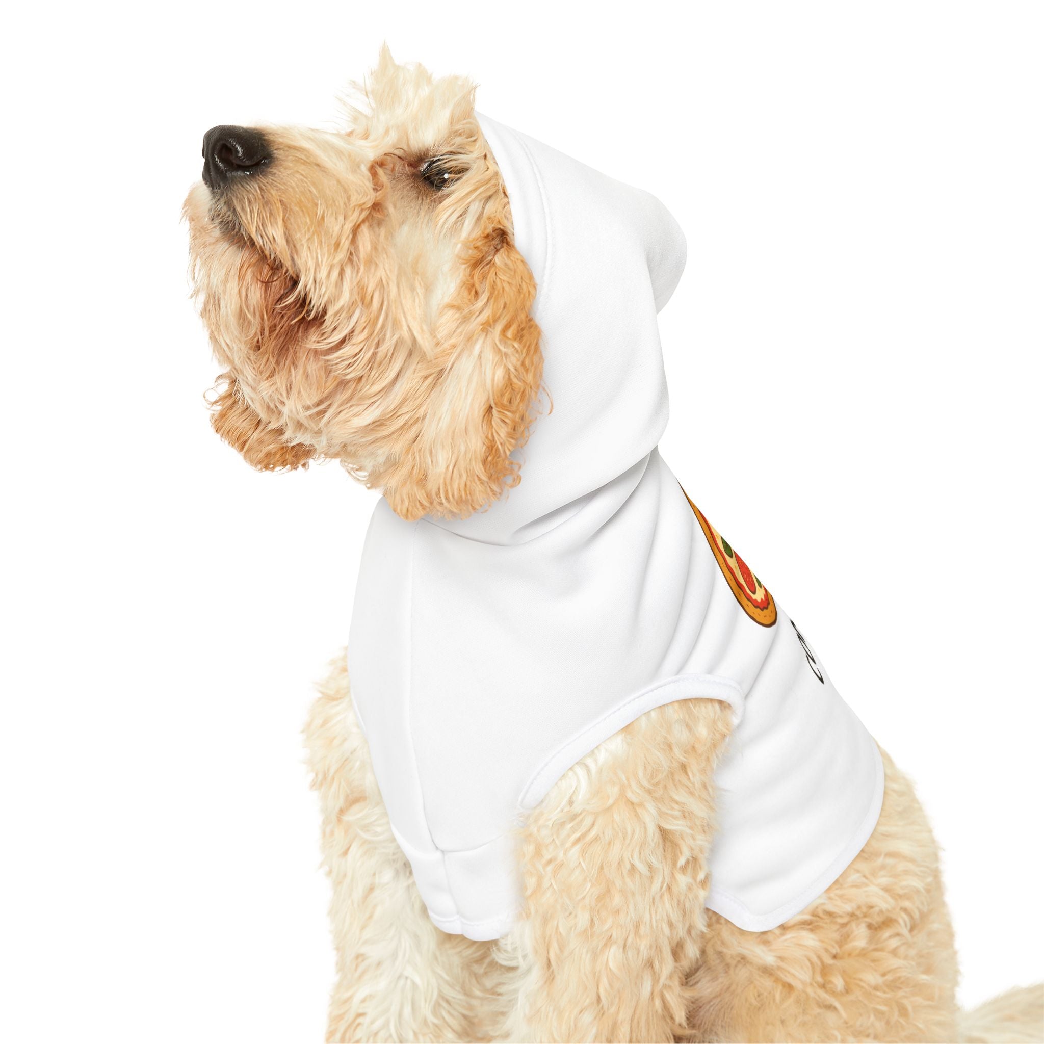 You Complete Me Pet Hoodie