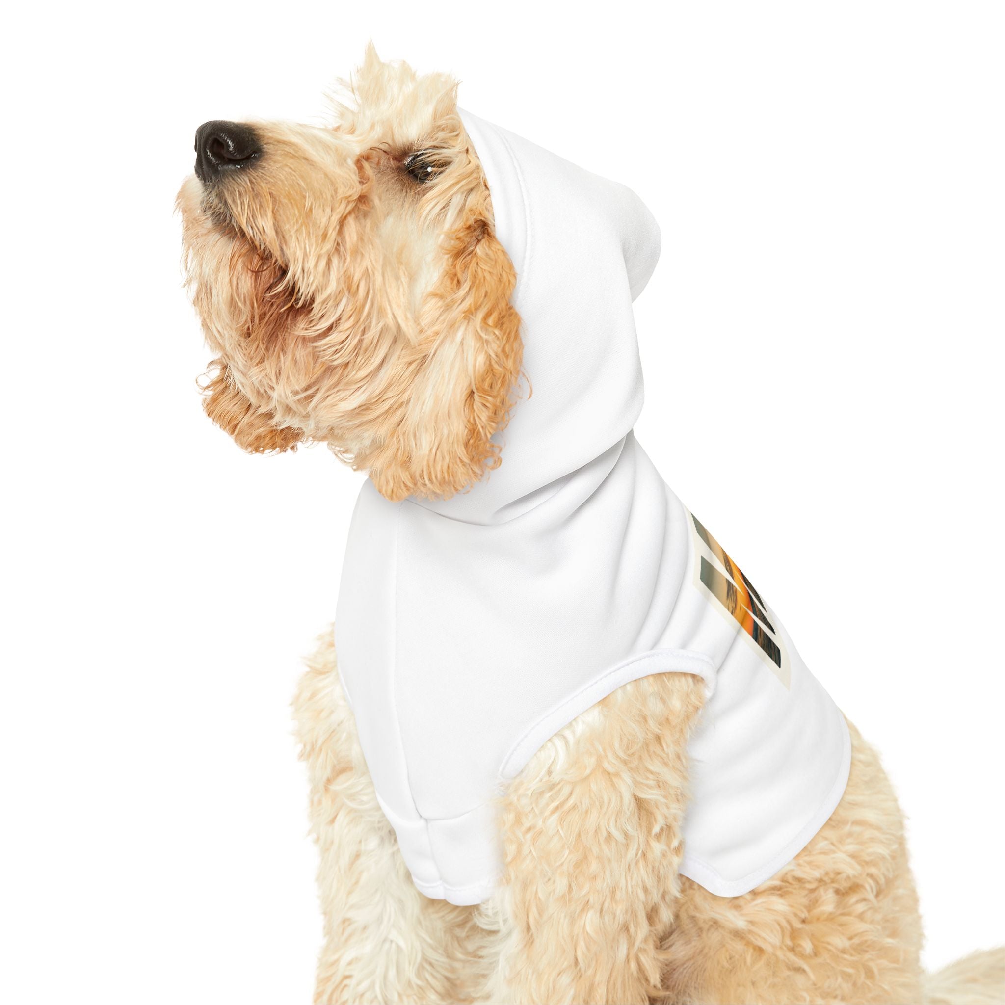 Miami Pet Hoodie