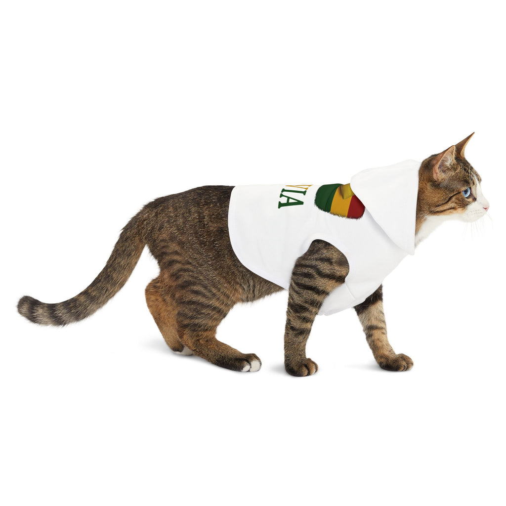 Bolivia Pet Hoodie