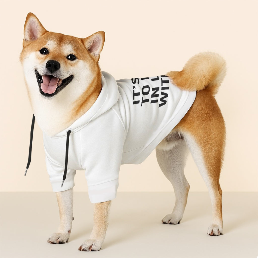 It’s ok to fall in love with me Pet hoodie