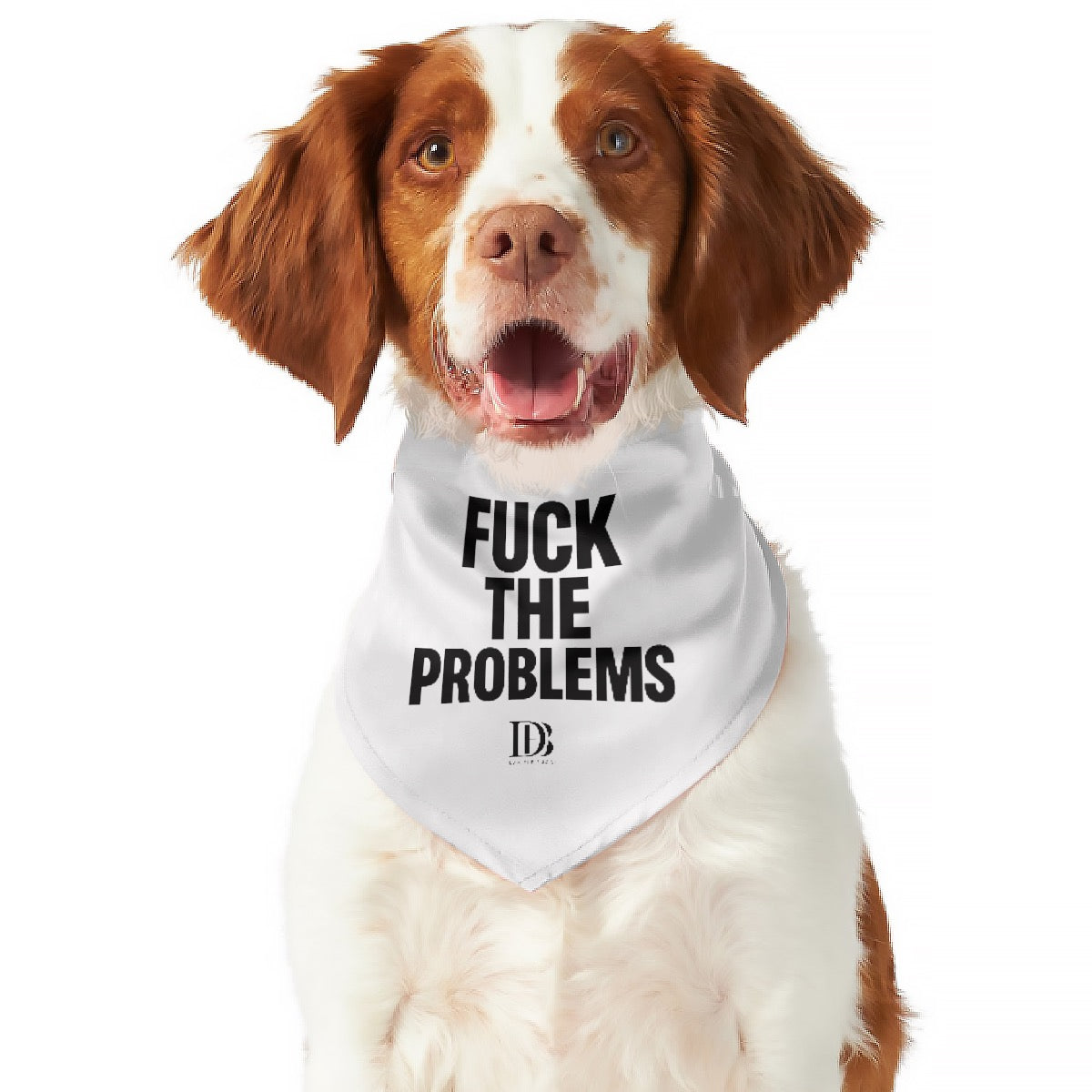Fuck the problems Pet Scarf