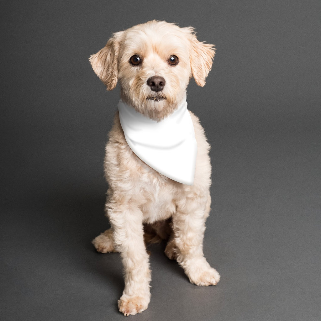 Fuck the problems Pet Scarf