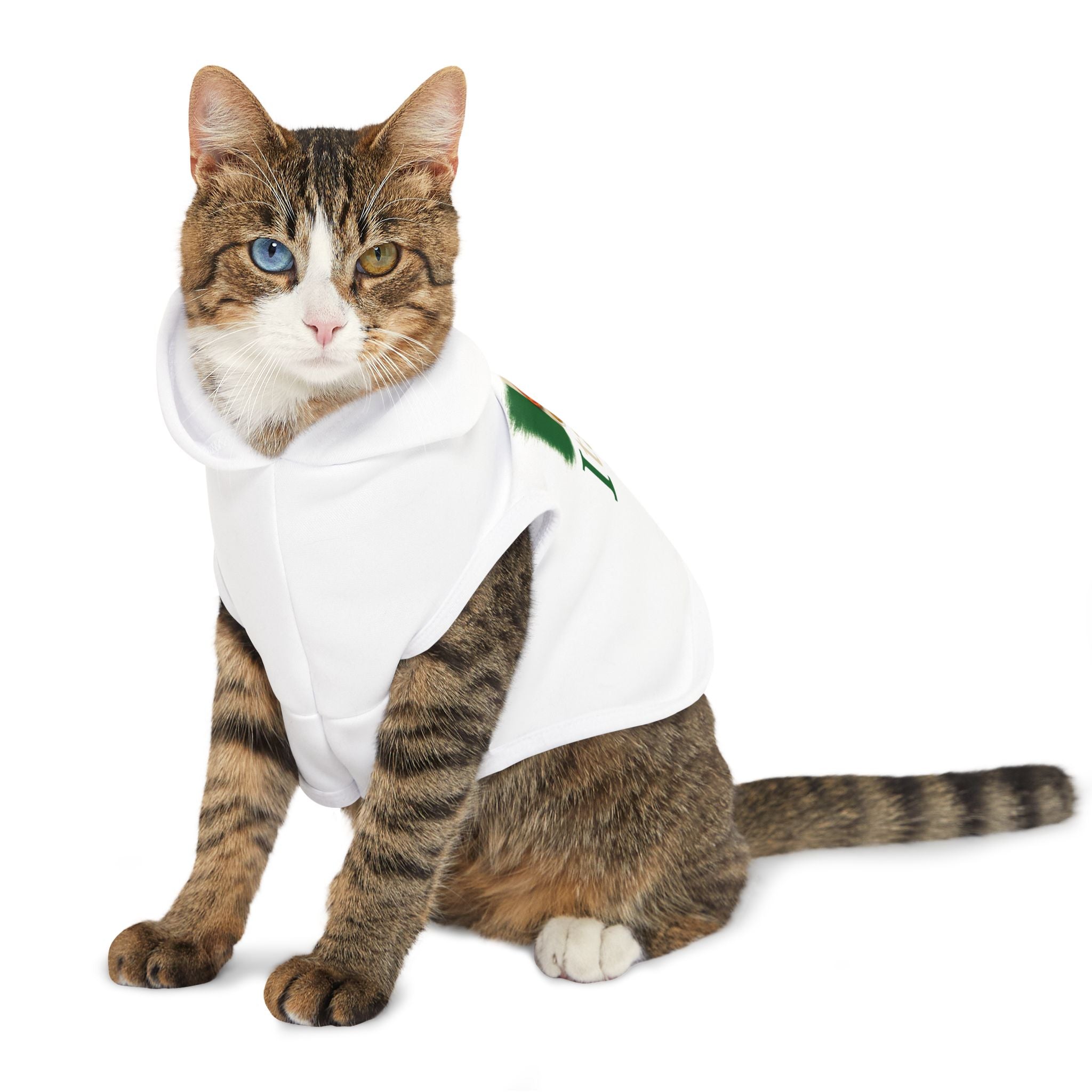 Italy Pet Hoodie