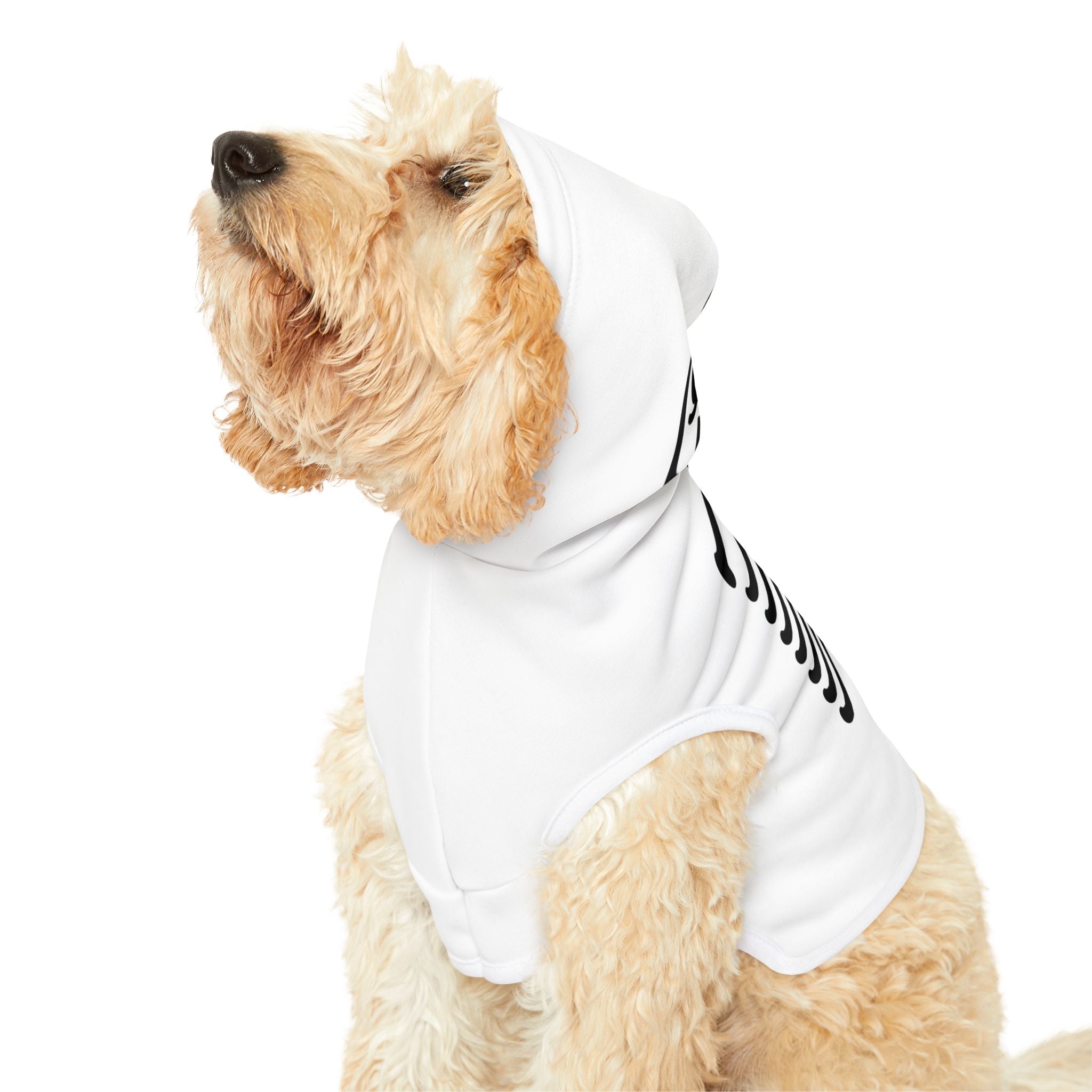 Halloween Pet Hoodie