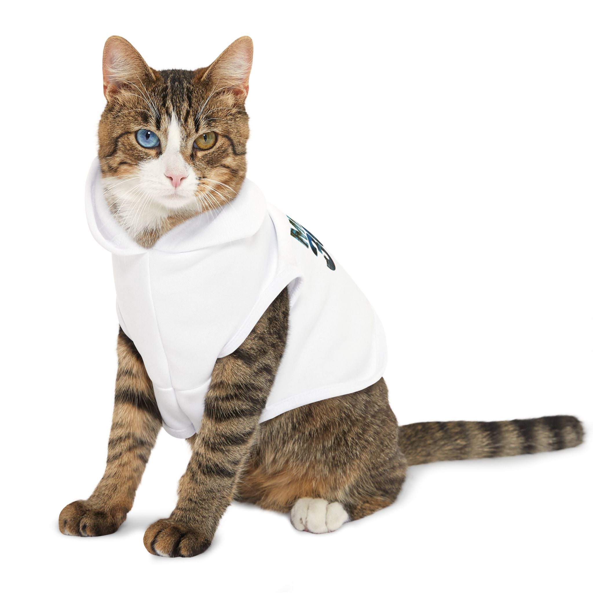 Miami 305 Pet Hoodie