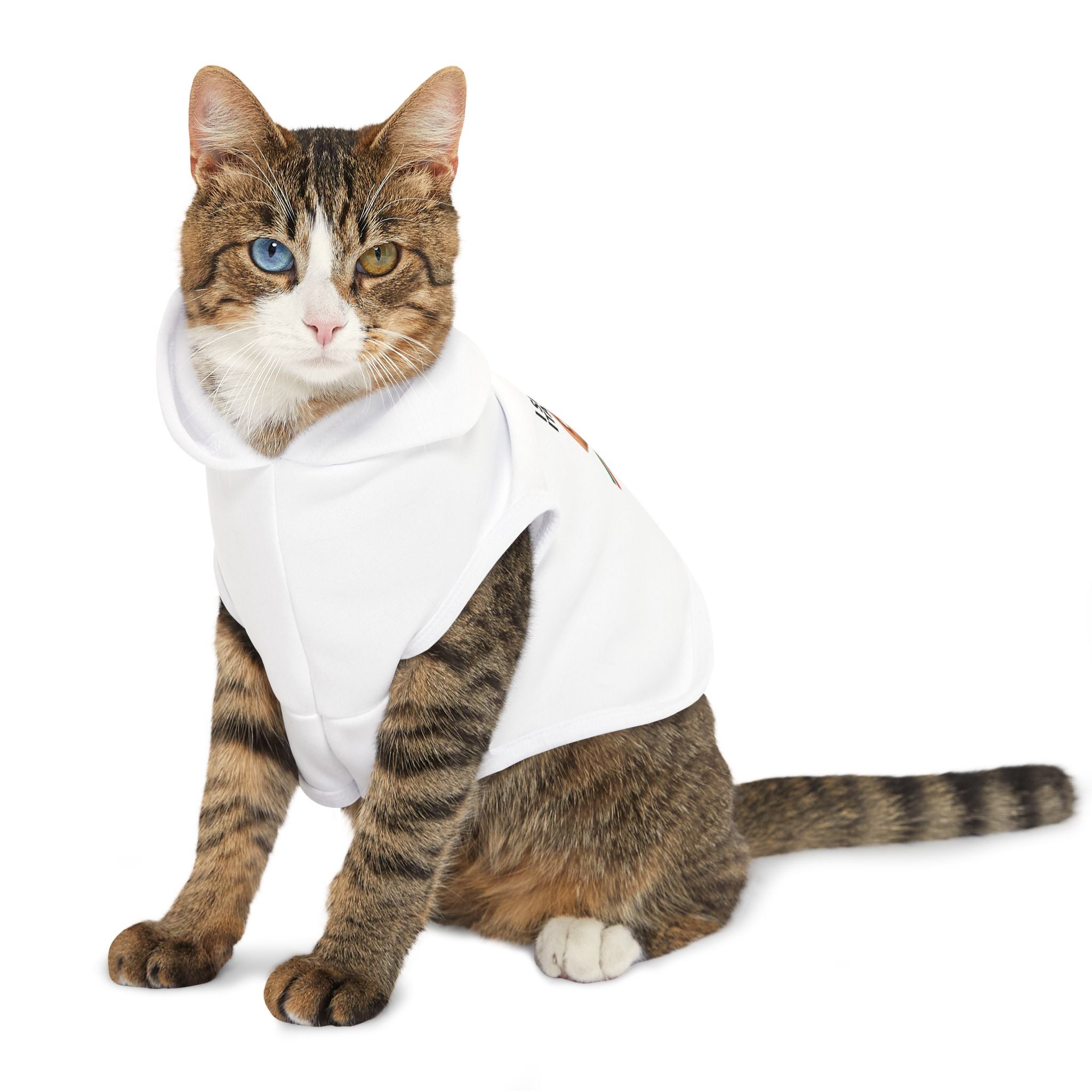 I Speak Italian Pet Hoodie